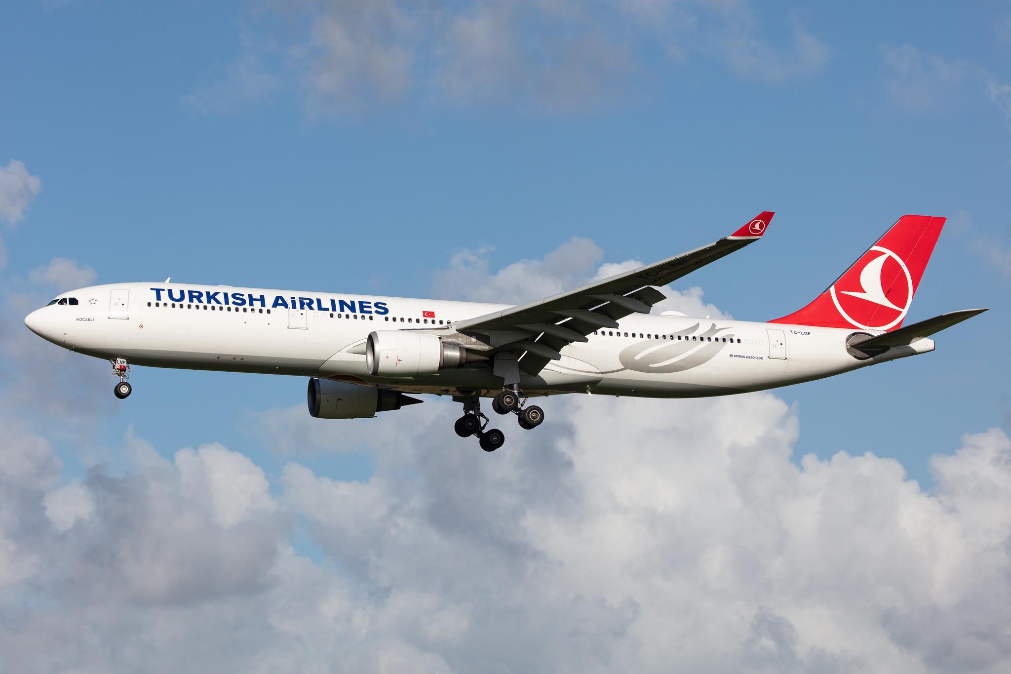 Amsterdam Airport Schiphol: Turkish Airlines (TK / THY) |  Airbus A330-303 A333 | TC-LNF | MSN 1713