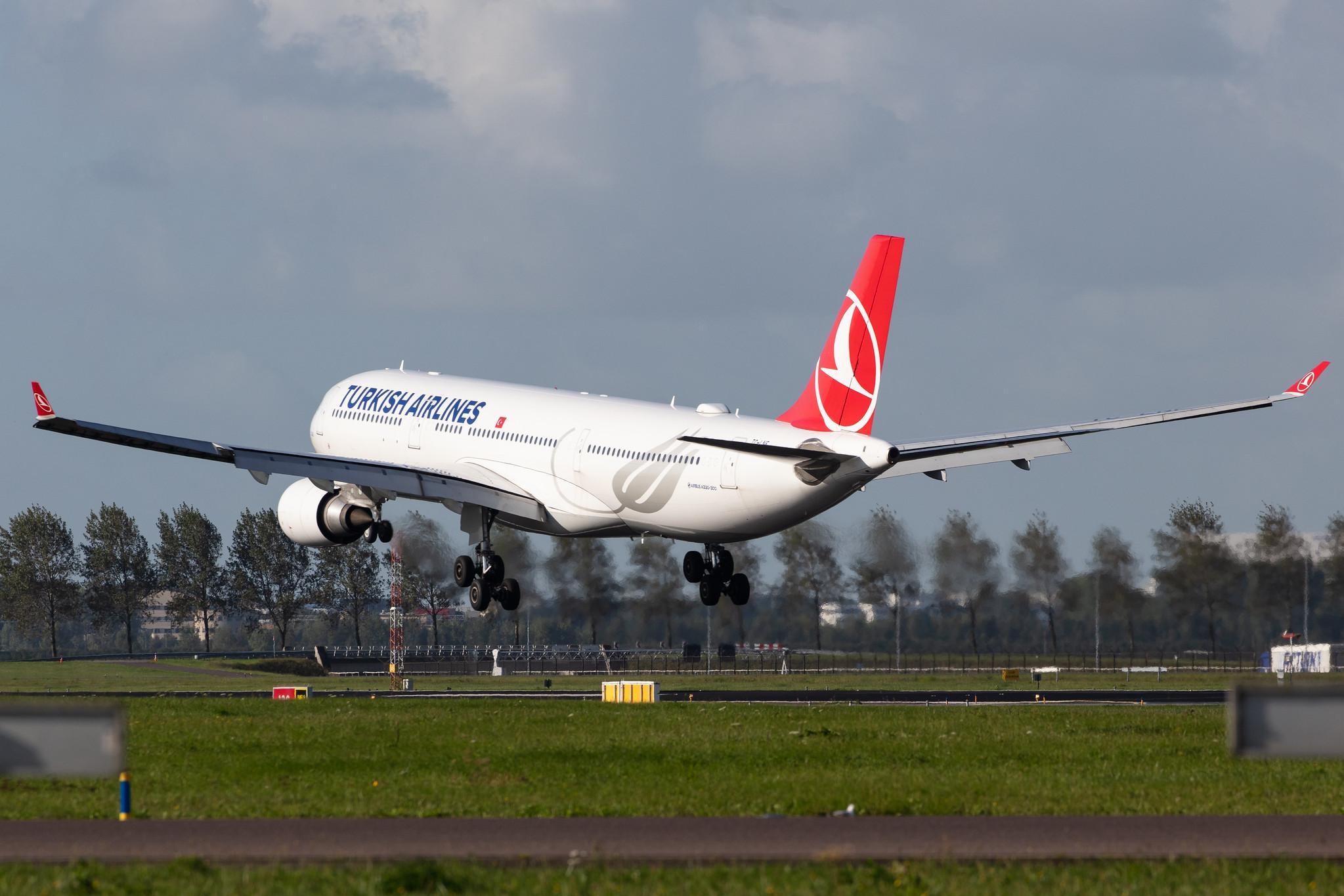 Amsterdam Airport Schiphol: Turkish Airlines (TK / THY) |  Airbus A330-303 A333 | TC-LNF | MSN 1713