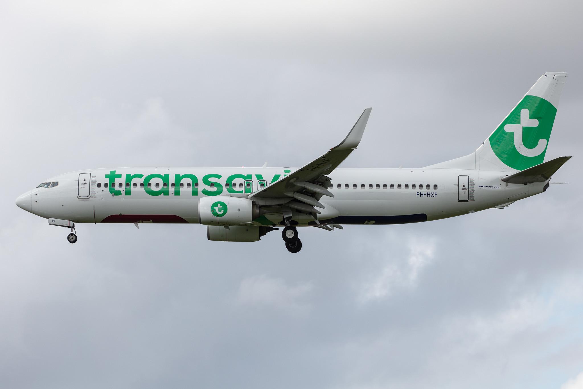 Amsterdam Airport Schiphol: Transavia (HV / TRA) |  Boeing 737-8K2 B738 | PH-HXF | MSN 62153