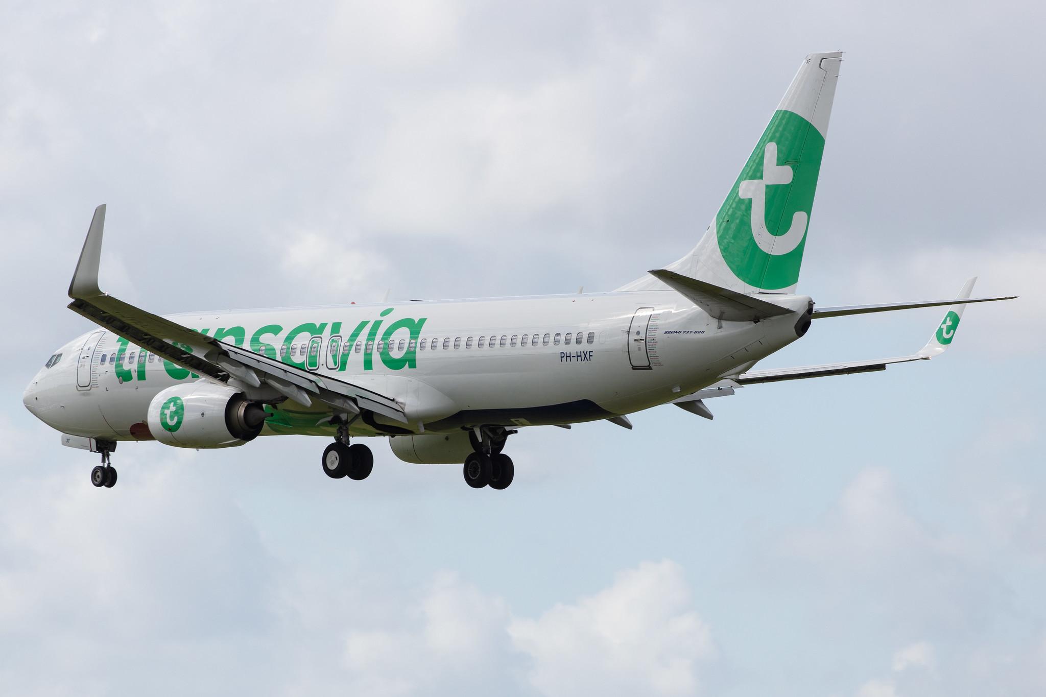 Amsterdam Airport Schiphol: Transavia (HV / TRA) |  Boeing 737-8K2 B738 | PH-HXF | MSN 62153