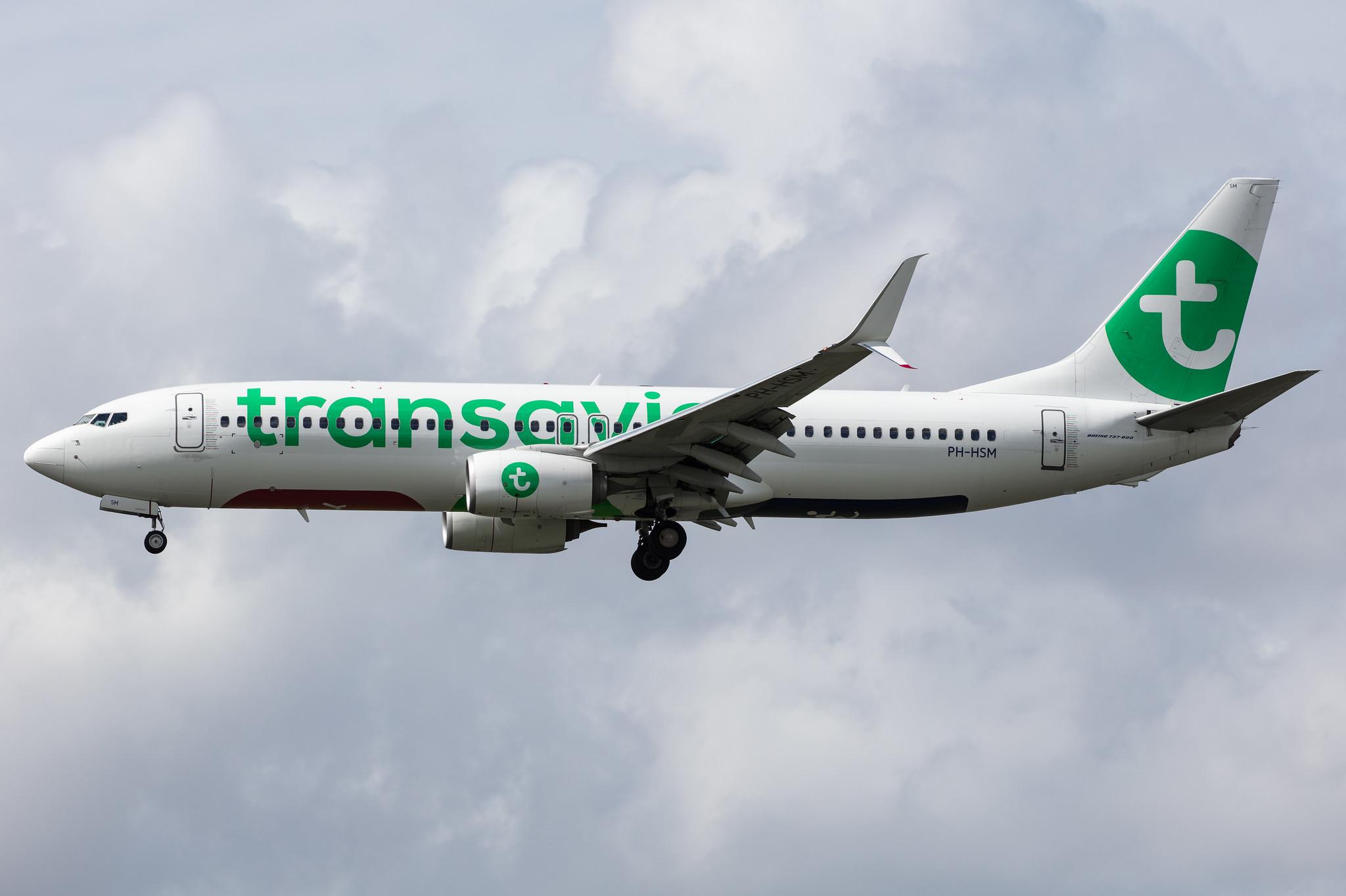 Amsterdam Airport Schiphol: Transavia (HV / TRA) |  Boeing 737-8K2 B738 | PH-HSM | MSN 42067