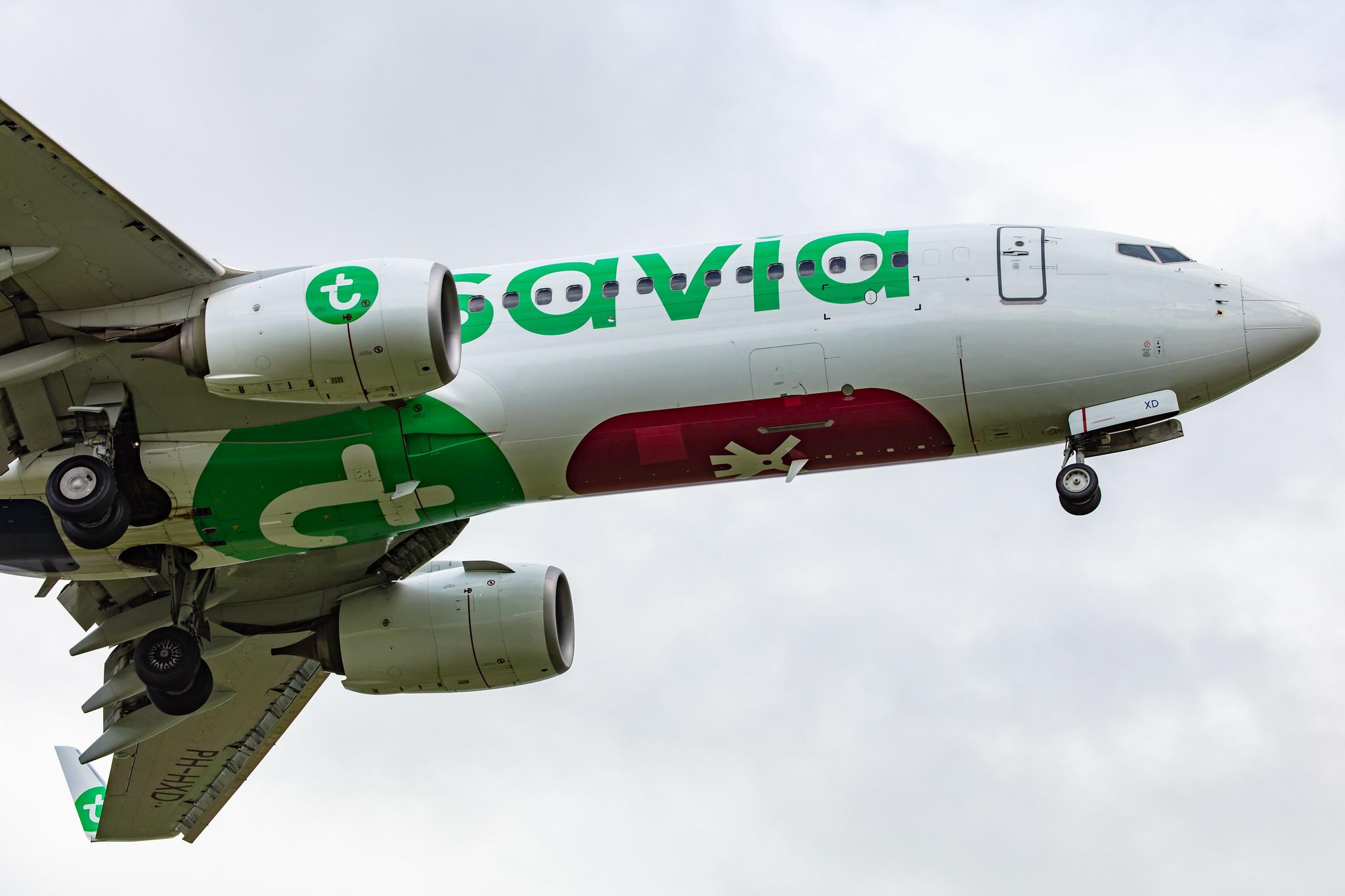 Amsterdam Airport Schiphol: Transavia (HV / TRA) |  Boeing 737-8K2 B738 | PH-HXD | MSN 61791