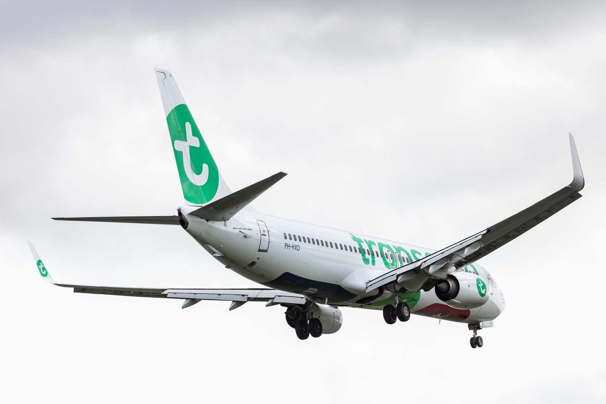 Amsterdam Airport Schiphol: Transavia (HV / TRA) |  Boeing 737-8K2 B738 | PH-HXD | MSN 61791