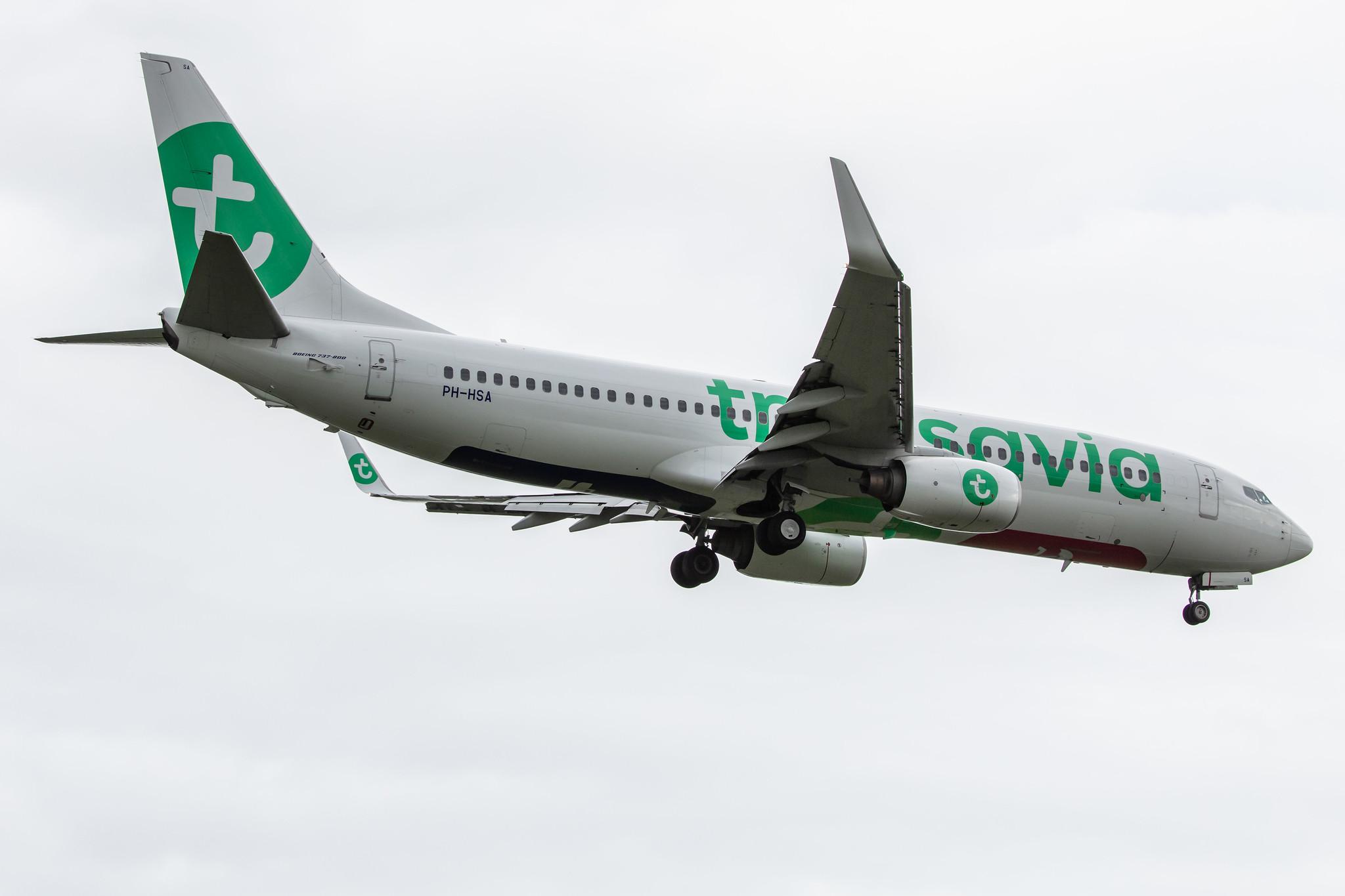 Amsterdam Airport Schiphol: Transavia (HV / TRA) |  Boeing 737-8K2 B738 | PH-HSA | MSN 34171