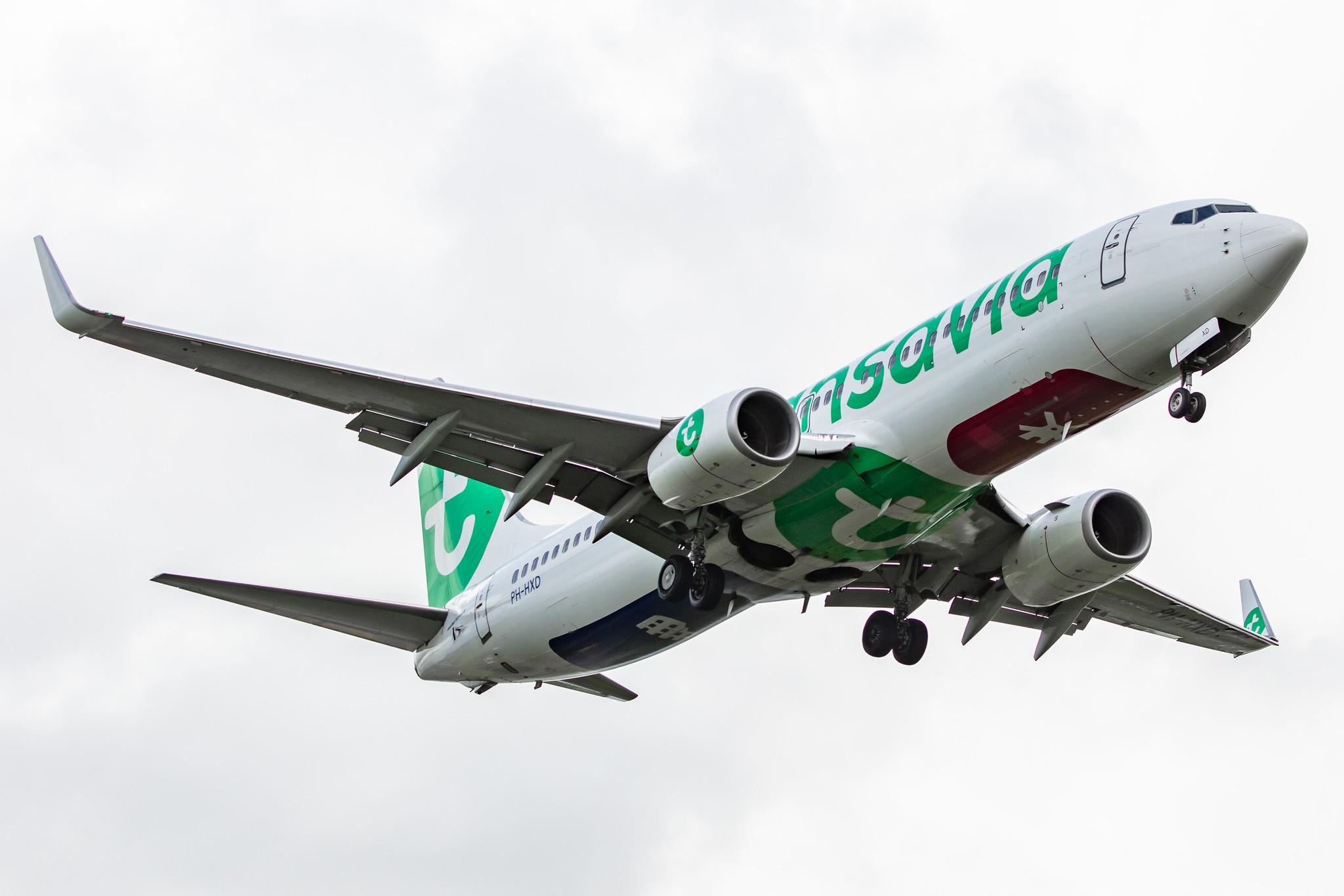 Amsterdam Airport Schiphol: Transavia (HV / TRA) |  Boeing 737-8K2 B738 | PH-HXD | MSN 61791
