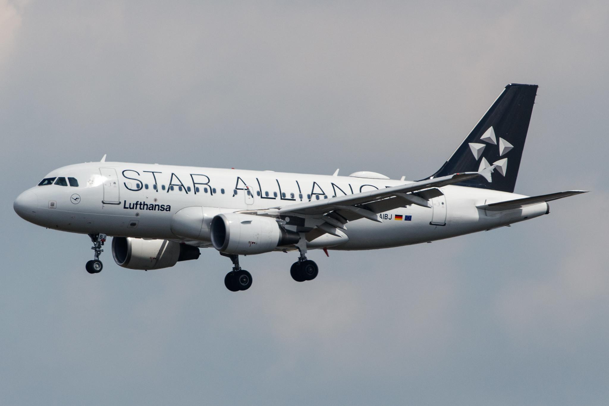 Frankfurt Airport: Lufthansa (LH / DLH) |  Livery: Star Alliance Livery |  Airbus A319-112 A319 | D-AIBJ | MSN 5293