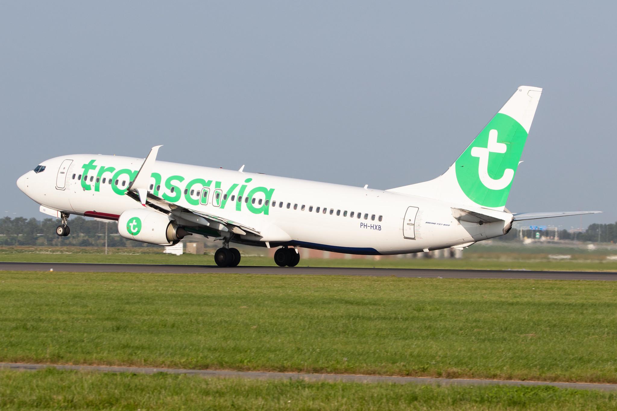 Amsterdam Schiphol: Transavia (HV / TRA) |  Boeing 737-8K2 B738 | PH-HXB | MSN 41340