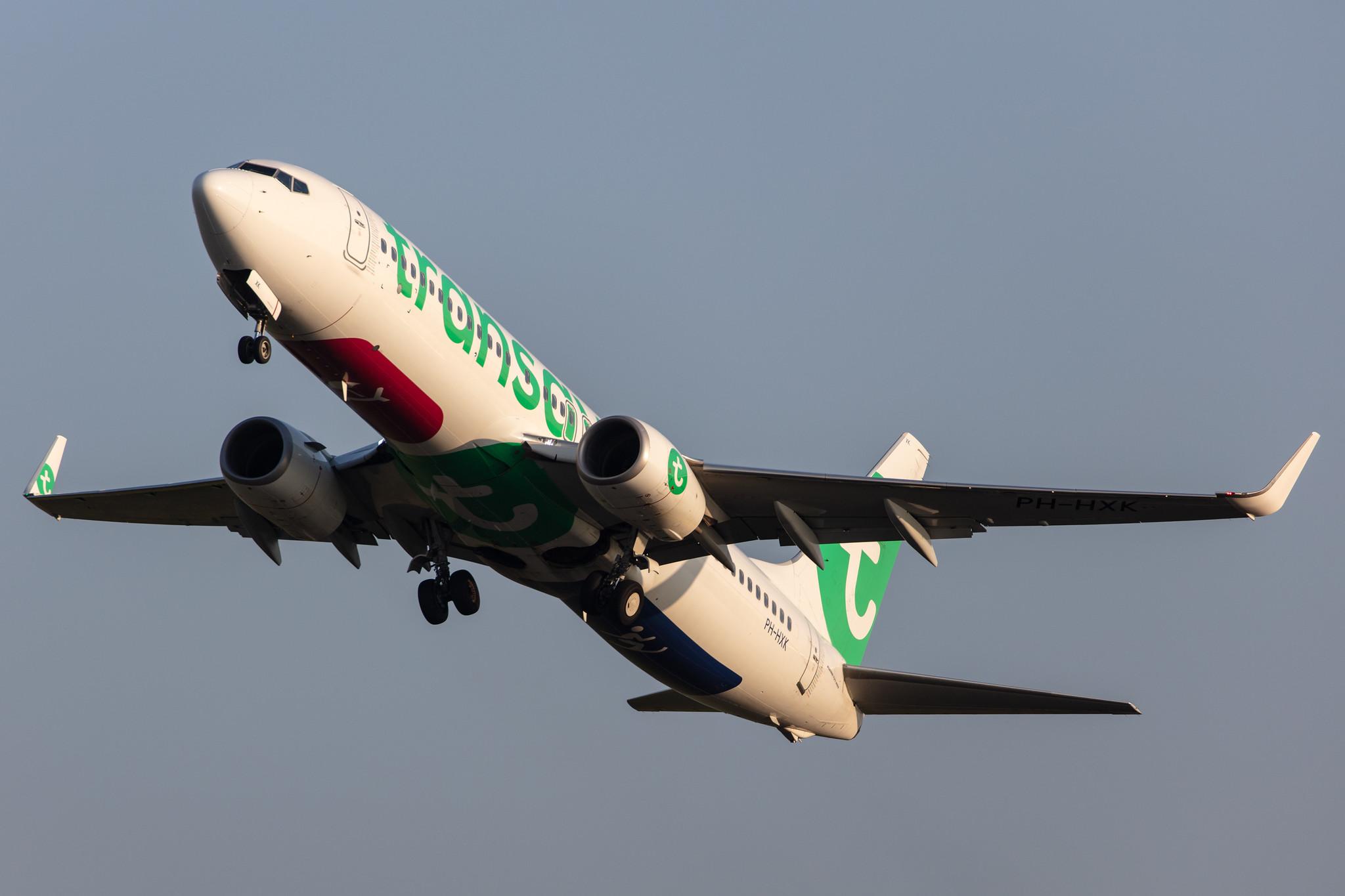 Amsterdam Schiphol: Transavia (HV / TRA) |  Boeing 737-8K2 B738 | PH-HXK | MSN 62157
