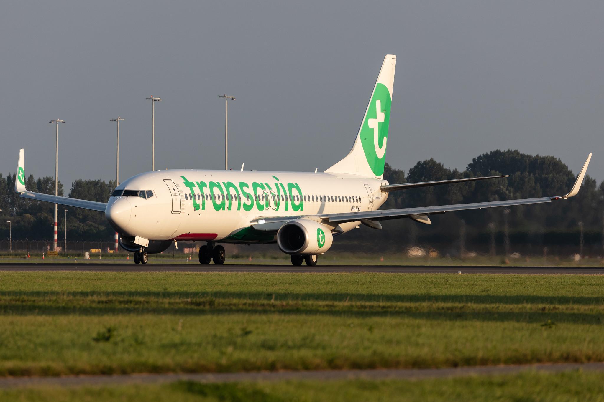Amsterdam Schiphol: Transavia (HV / TRA) |  Boeing 737-8K2 B738 | PH-HXA | MSN 62149