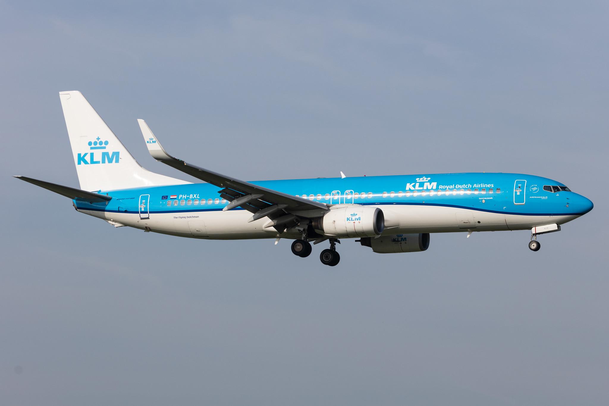 Amsterdam Schiphol: KLM (KL / KLM) |  Boeing 737-8K2 B738 | PH-BXL | MSN 30359