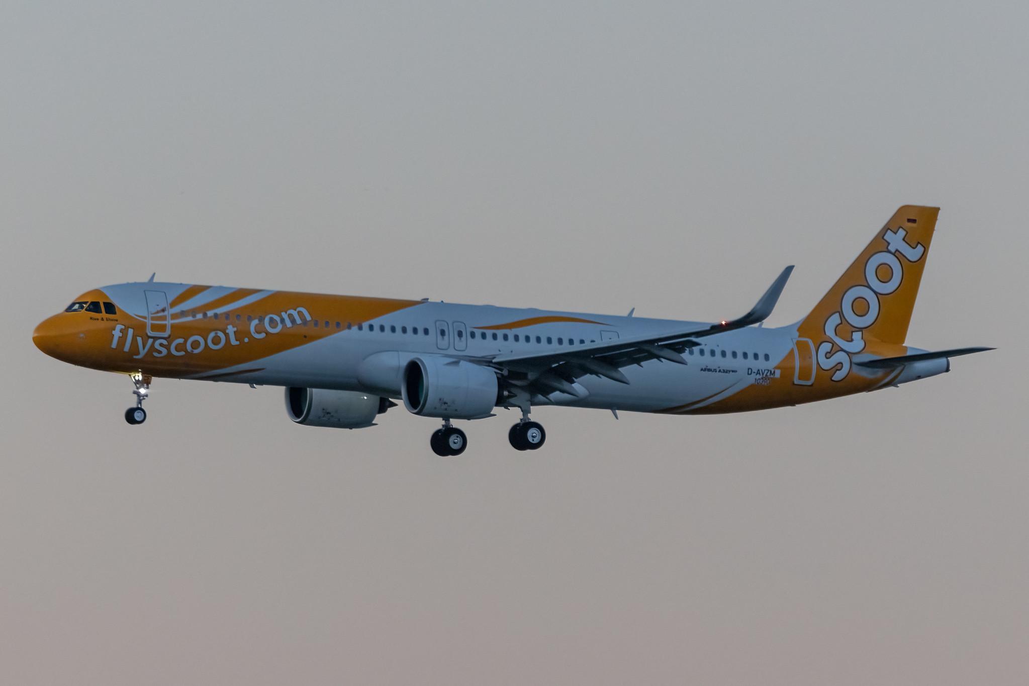 Hamburg Airport: Scoot (TR / TGW) |  Airbus A321-271NX A21N | D-AVZM (9V-NCF) | MSN 10390