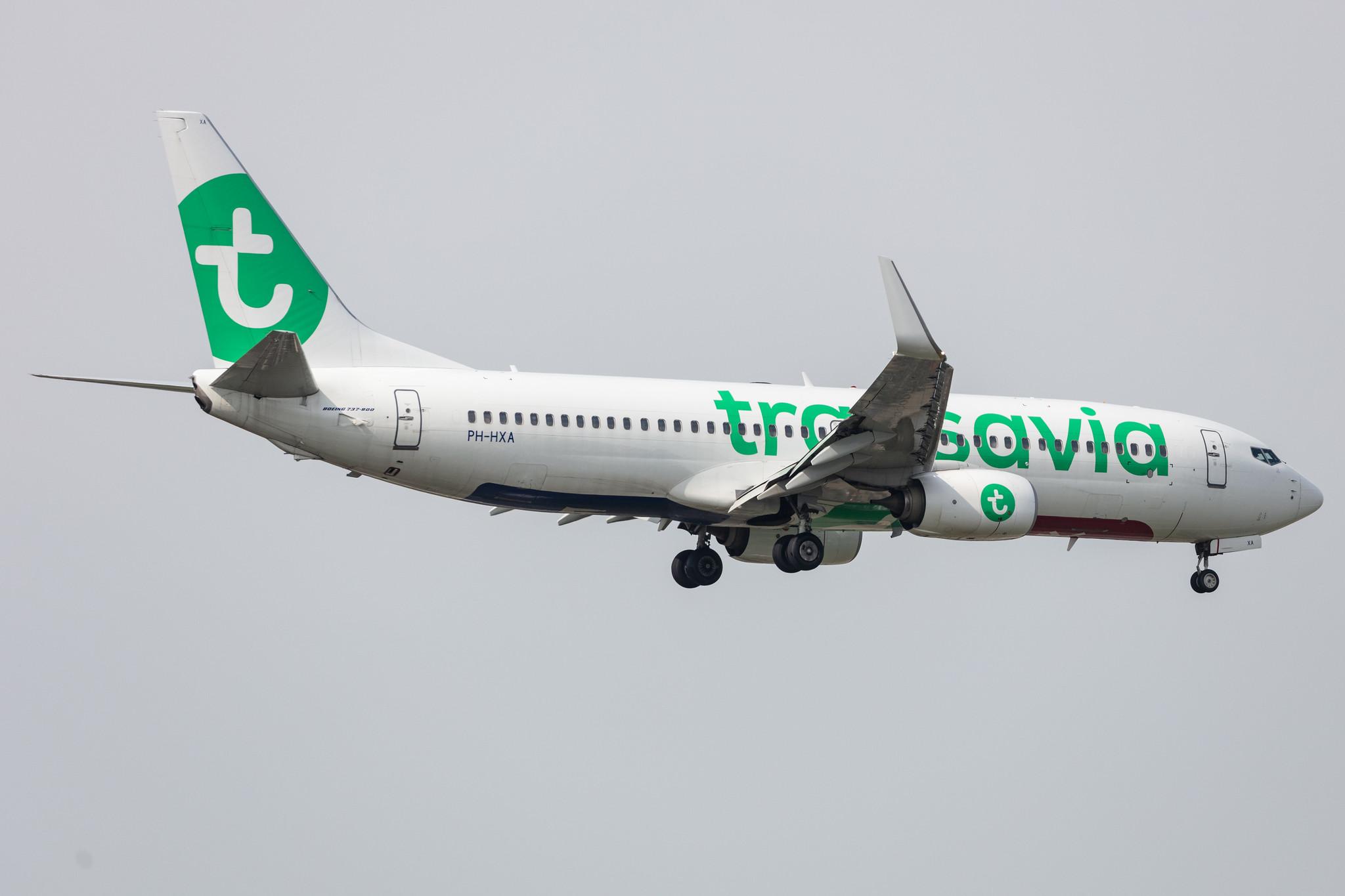Amsterdam Schiphol: Transavia (HV / TRA) |  Boeing 737-8K2 B738 | PH-HXA | MSN 62149