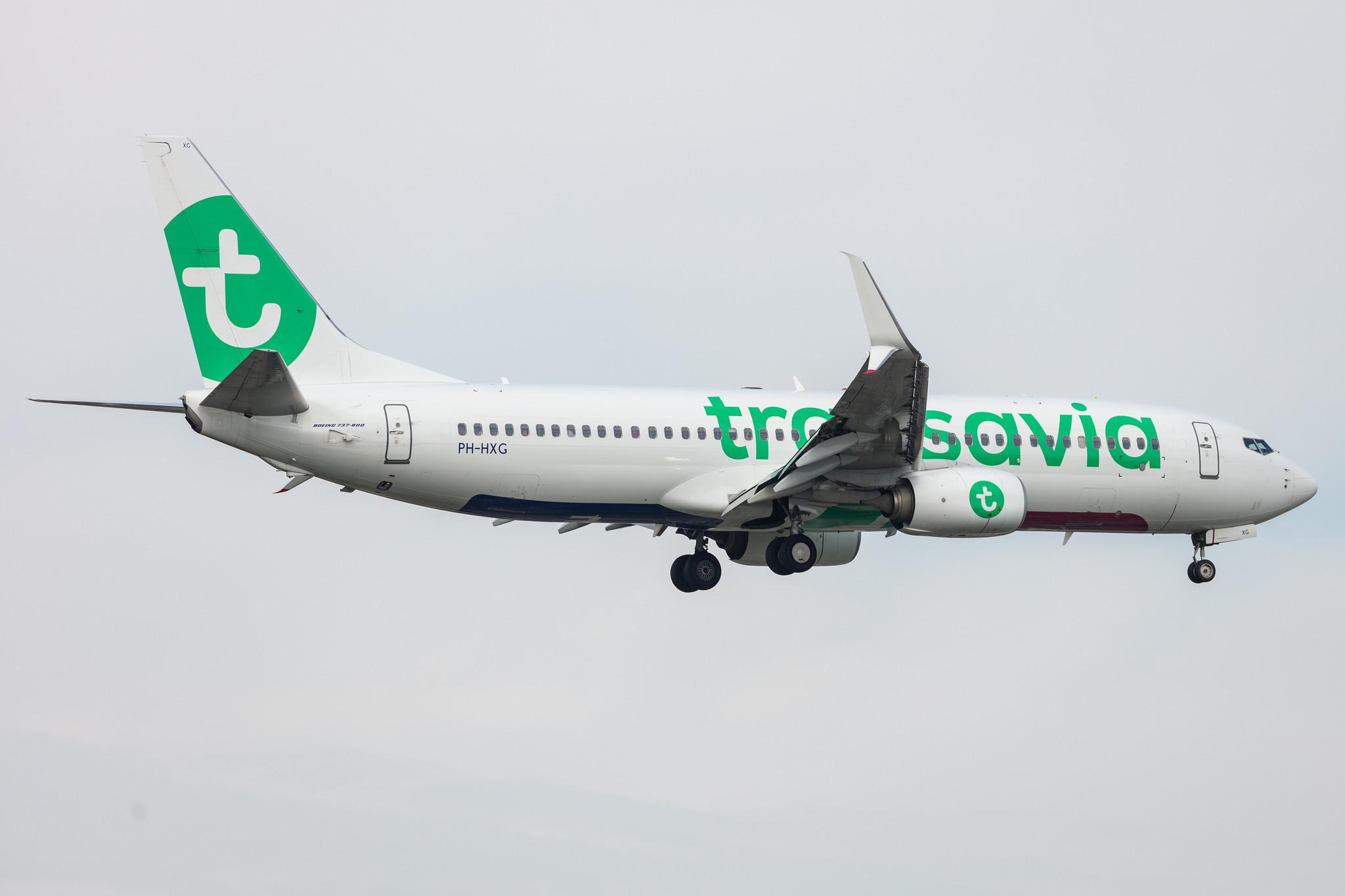 Amsterdam Schiphol: Transavia (HV / TRA) |  Boeing 737-8K2 B738 | PH-HXG | MSN 41355