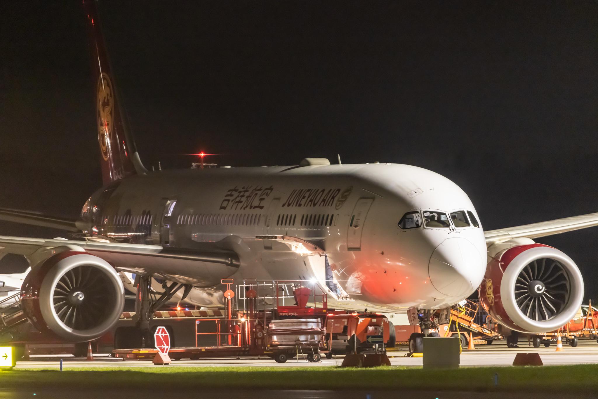 Hamburg Airport: Juneyao Air (HO / DKH) |  Livery: Chinese Peony Livery |  Boeing 787-9 Dreamliner B789 | B-209R | MSN 64315