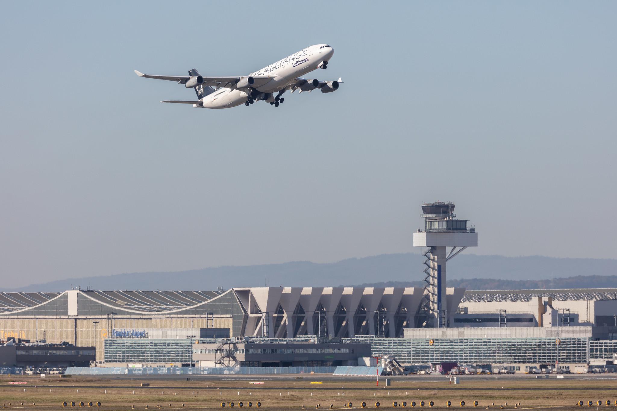 Frankfurt Airport: Lufthansa (LH / DLH) |  Livery: Star Alliance Livery |  Airbus A340-313 A343 | D-AIFE | MSN 0434
