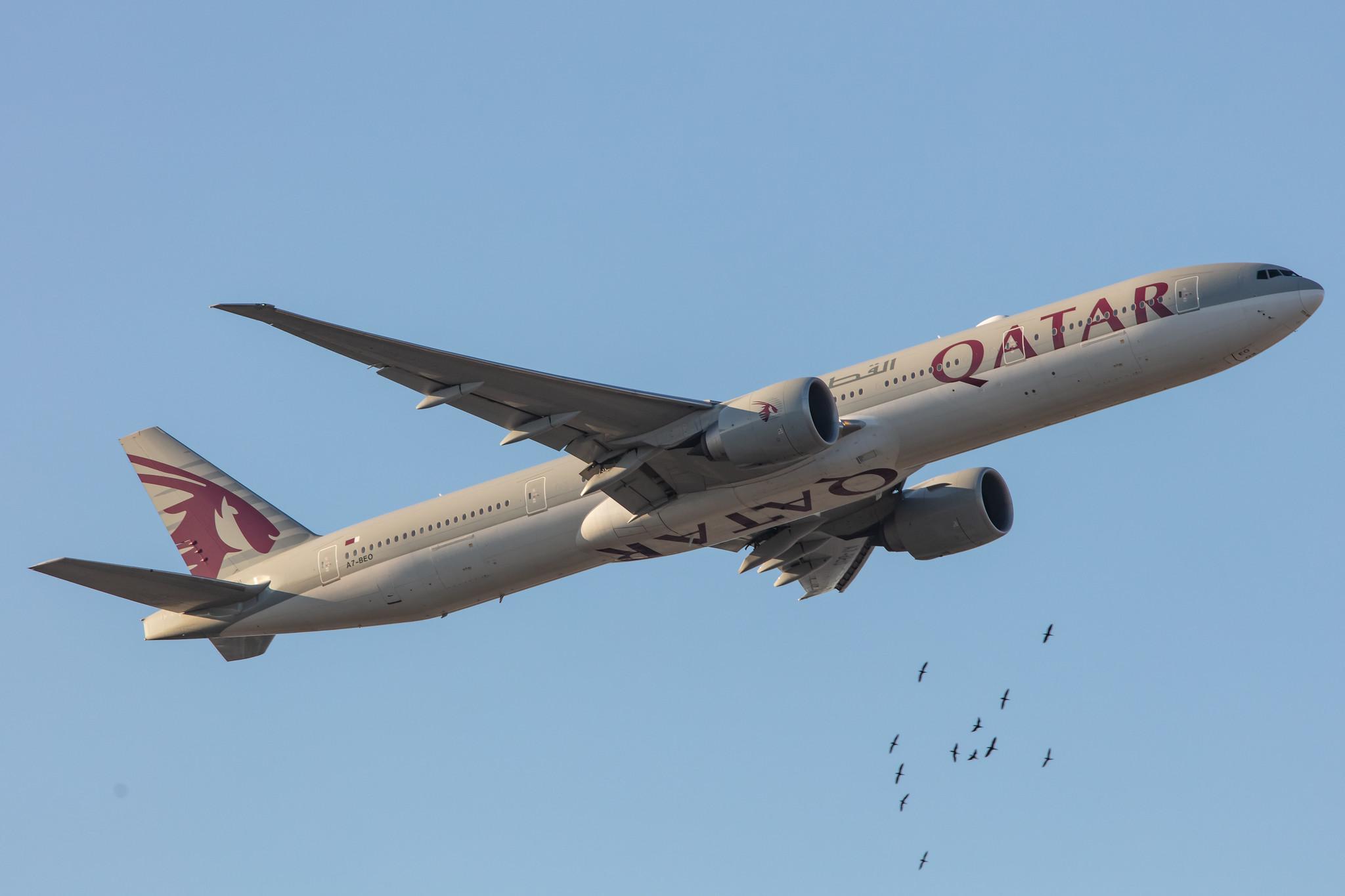 Frankfurt Airport: Qatar Airways (QR / QTR) |  Boeing 777-3DZ(ER) B77W | A7-BEO | MSN 64065