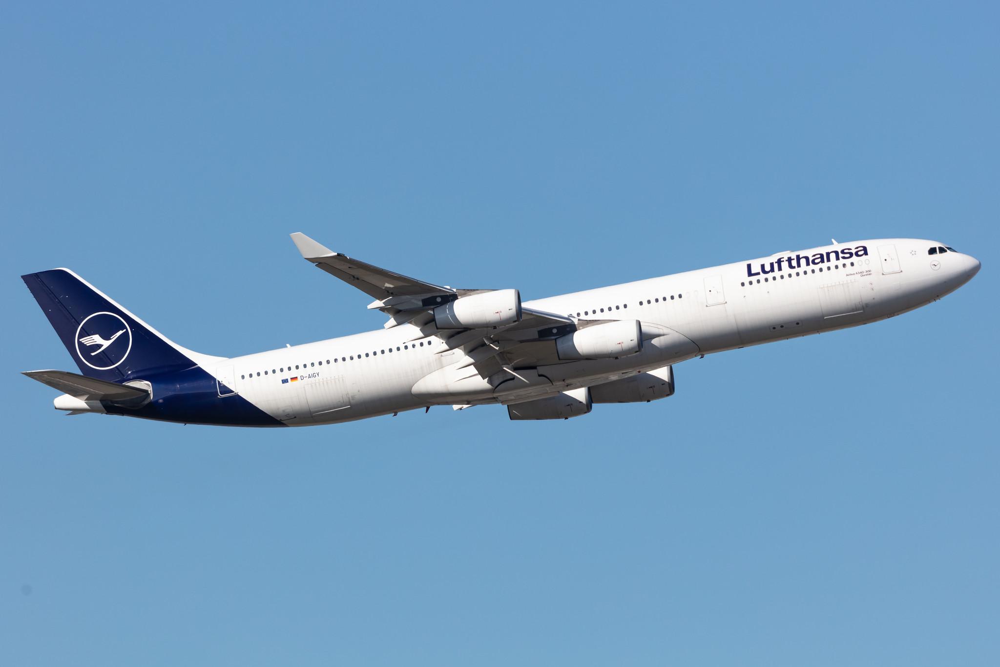 Frankfurt Airport: Lufthansa (LH / DLH) |  Airbus A340-313 A343 | D-AIGY | MSN 0335