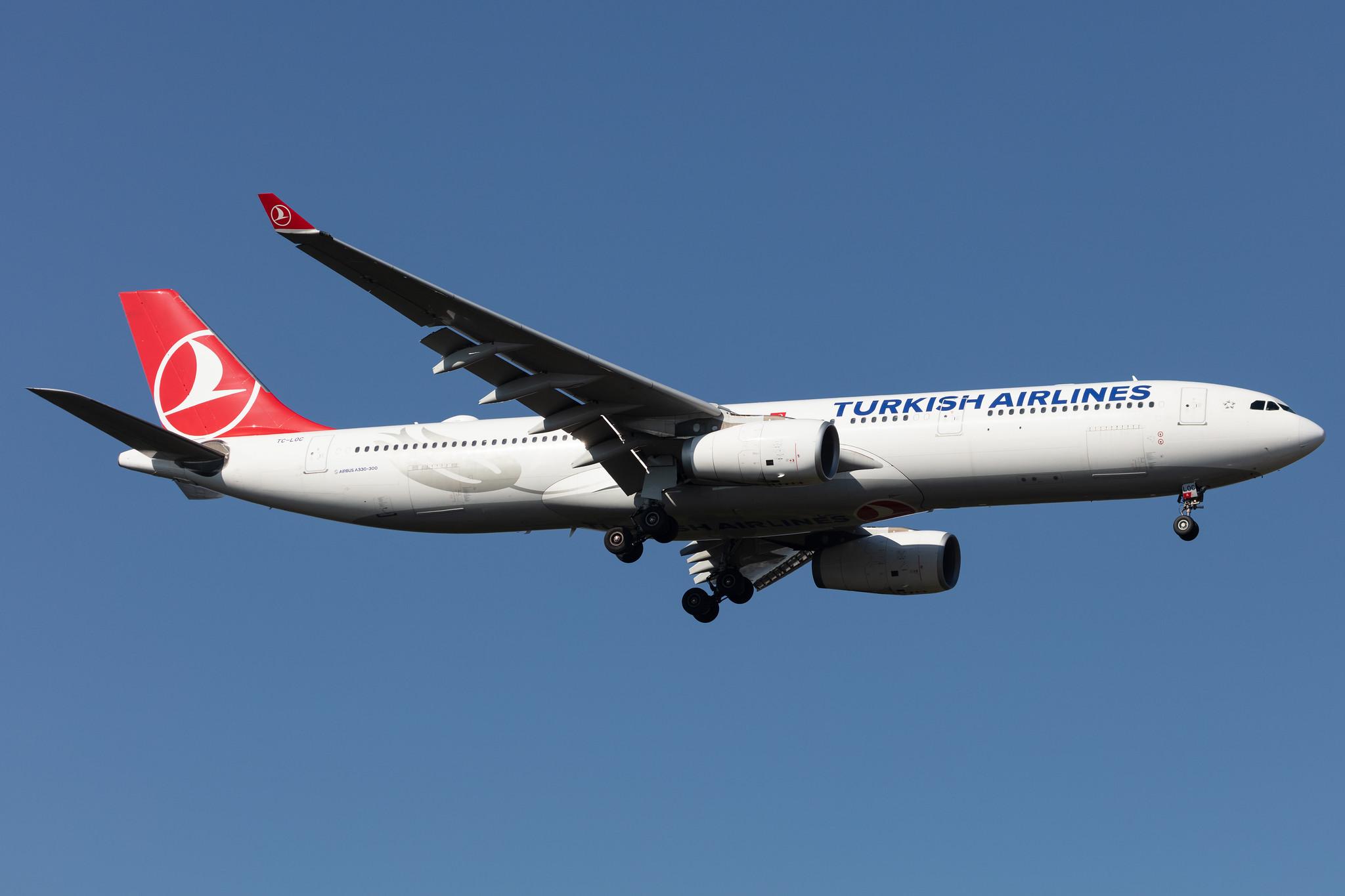 Frankfurt Airport: Turkish Airlines (TK / THY) |  Airbus A330-343 A333 | TC-LOC | MSN 1542