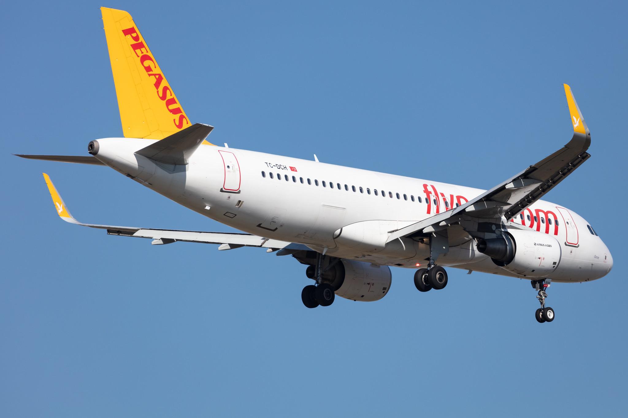 Frankfurt Airport: Pegasus (PC / PGT) | Operator: Pegasus Airlines |  Airbus A320-216 A320 | TC-DCH | MSN 06619