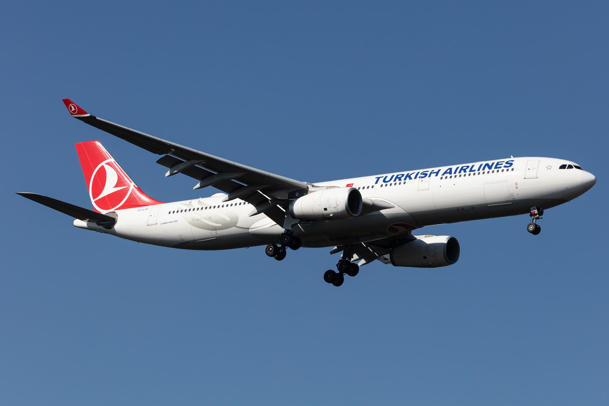 Frankfurt Airport: Turkish Airlines (TK / THY) |  Airbus A330-343 A333 | TC-LOC | MSN 1542