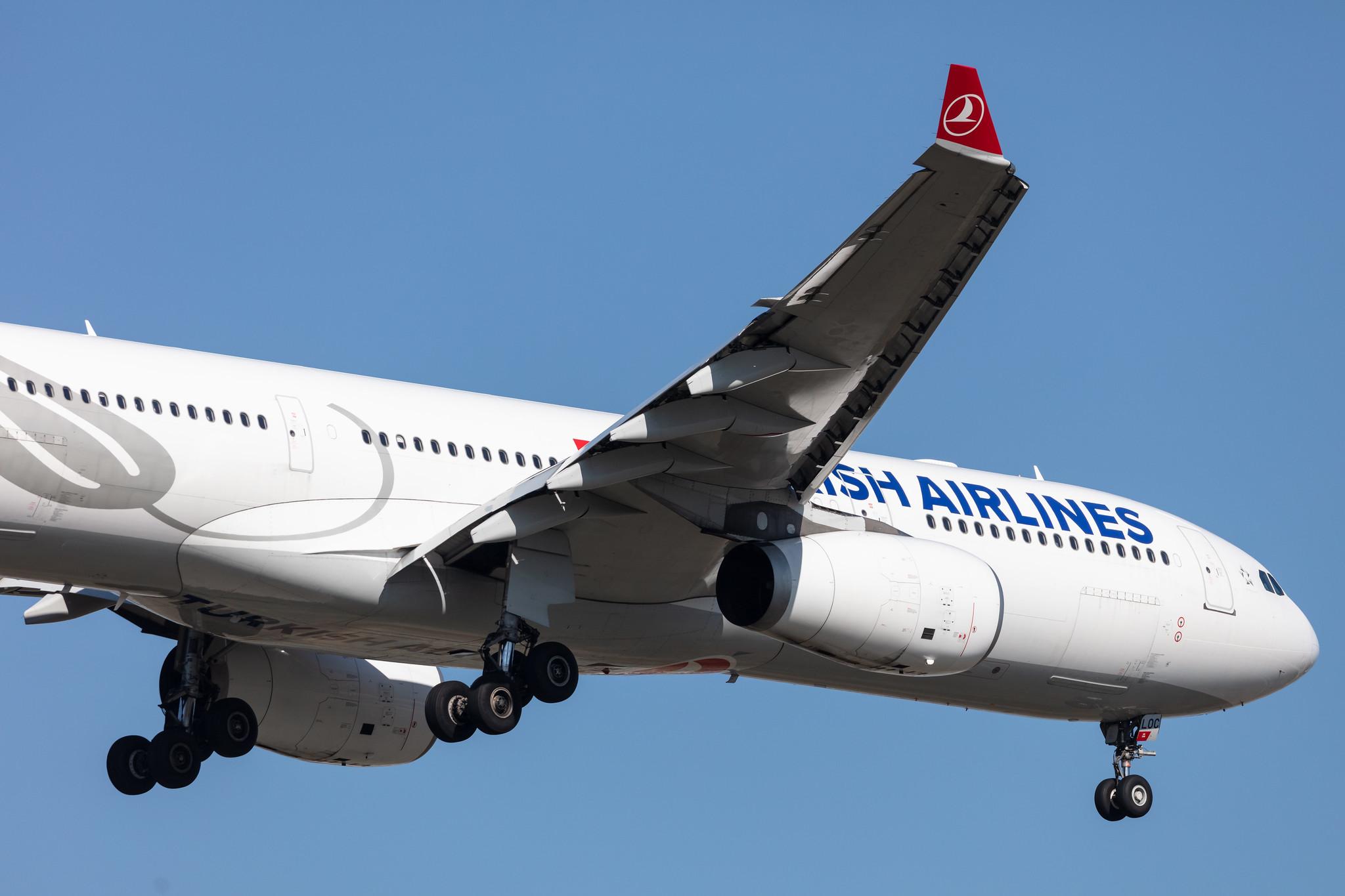 Frankfurt Airport: Turkish Airlines (TK / THY) |  Airbus A330-343 A333 | TC-LOC | MSN 1542