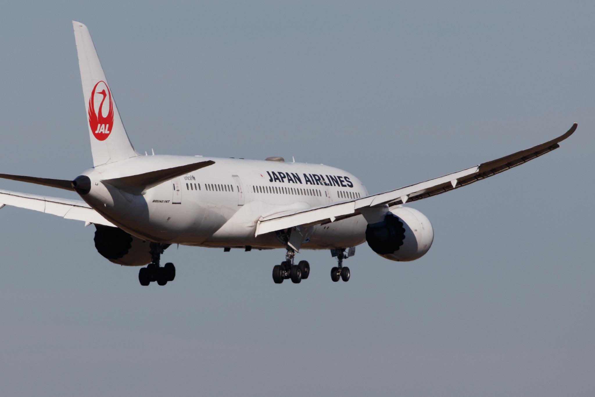 Frankfurt Airport: Japan Airlines (JL / JAL) |  Boeing 787-8 Dreamliner B788 | JA832J | MSN 34844