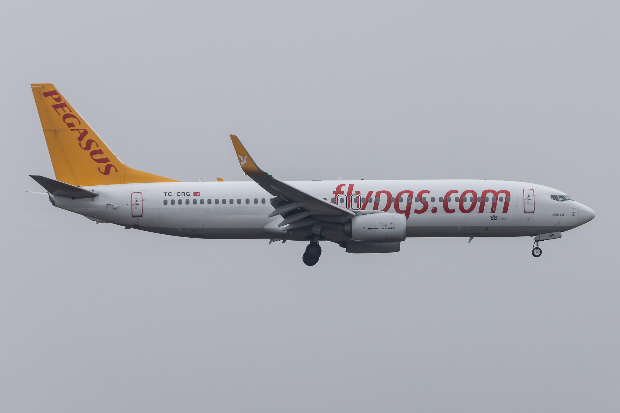 Frankfurt Airport: Pegasus (PC / PGT) | Operator: Pegasus Airlines |  Boeing 737-82R B738 | TC-CRG | MSN 63705