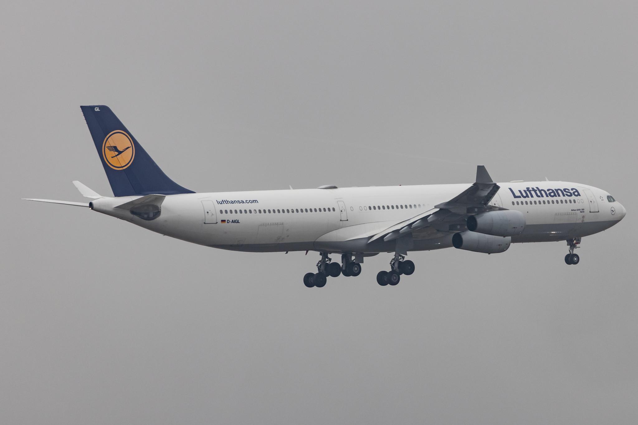 Frankfurt Airport: Lufthansa (LH / DLH) |  Airbus A340-313 A343 | D-AIGL | MSN 0135