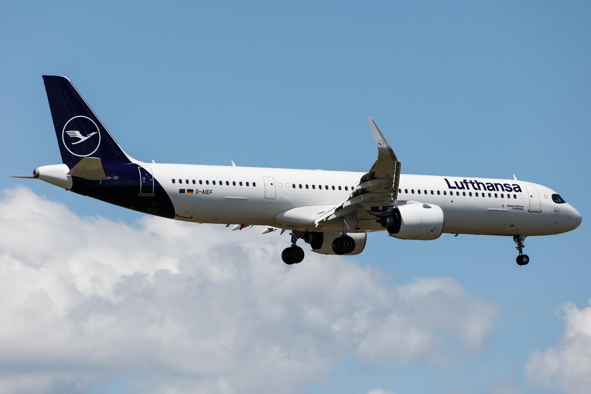 Frankfurt Airport: Lufthansa (LH / DLH) |  Airbus A321-271NX A21N | D-AIEF | MSN 10010