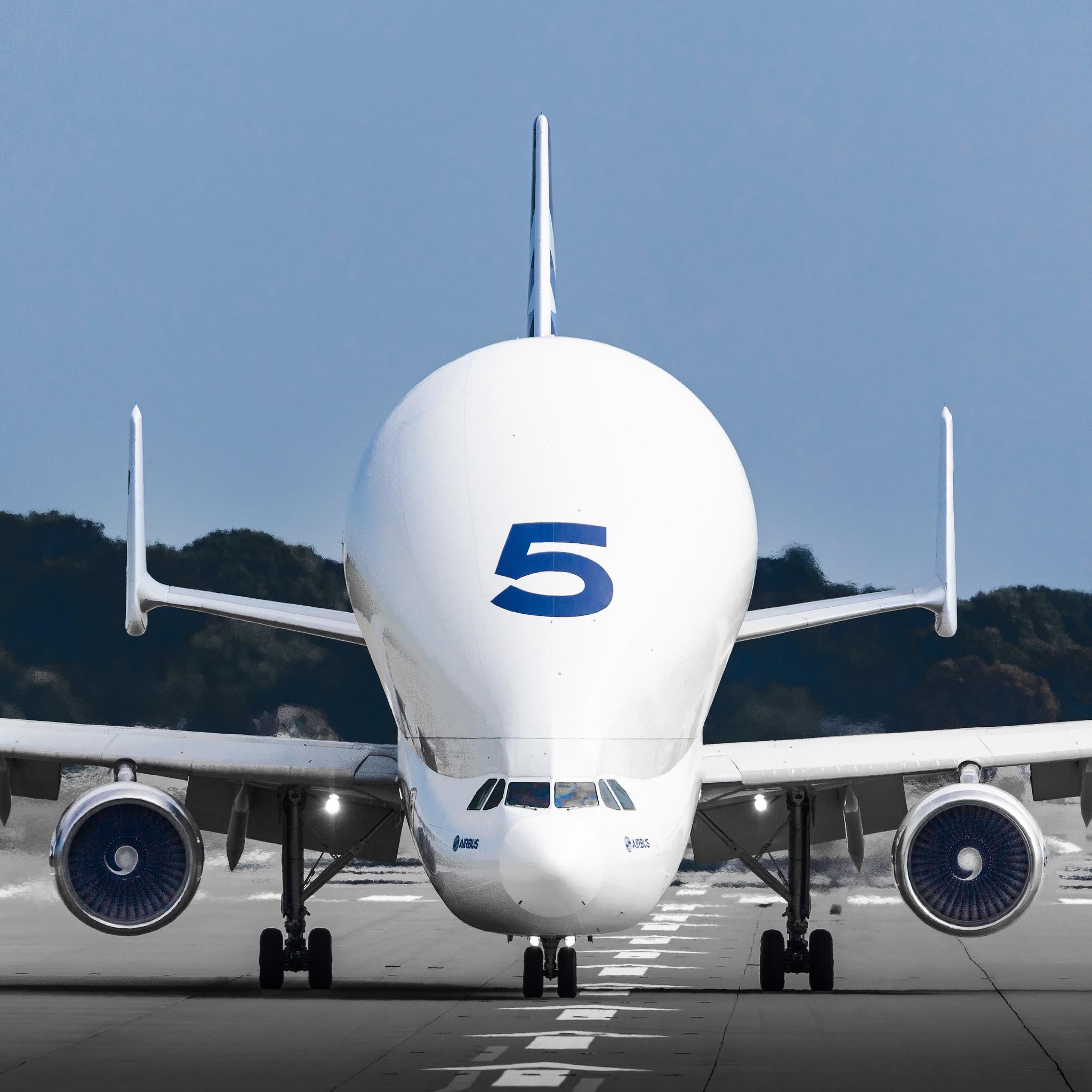 Hamburg Finkenwerder: Airbus Transport International (4Y / BGA) |  Airbus A300-608ST Beluga A3ST | F-GSTF | MSN 796