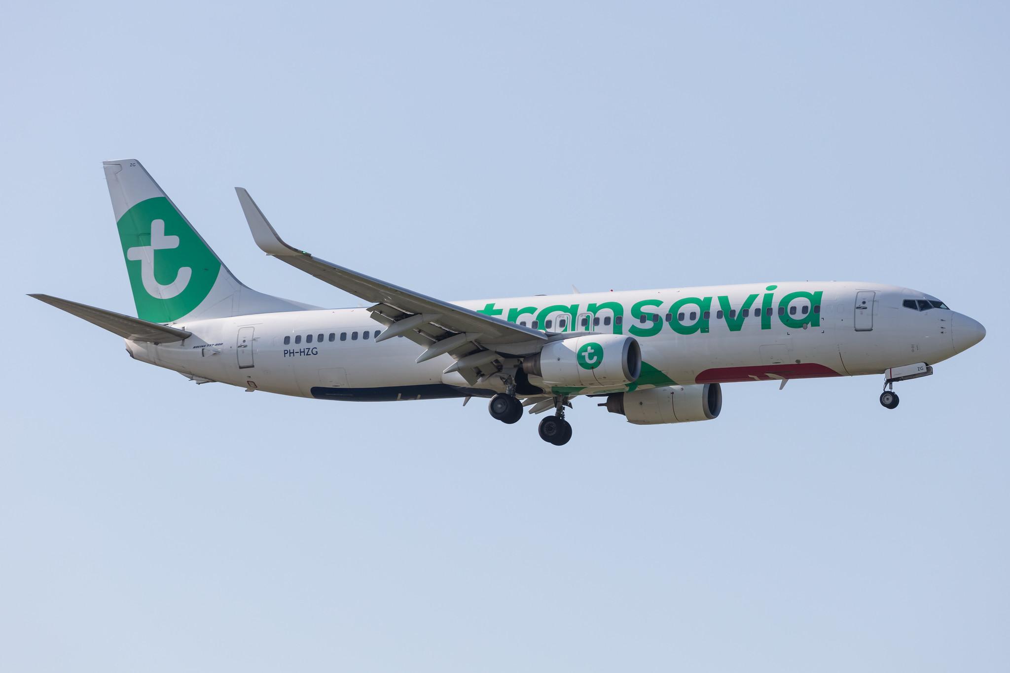 Amsterdam Schiphol: Transavia (HV / TRA) |  Boeing 737-8K2 B738 | PH-HZG | MSN 28379