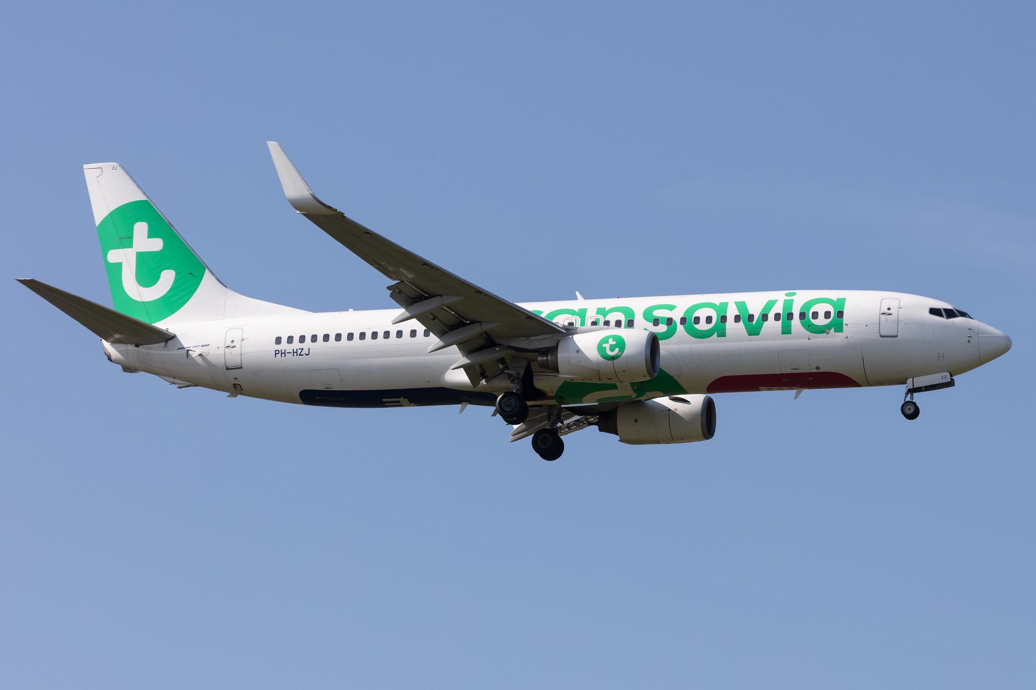 Amsterdam Schiphol: Transavia (HV / TRA) |  Boeing 737-8K2 B738 | PH-HZJ | MSN 30389