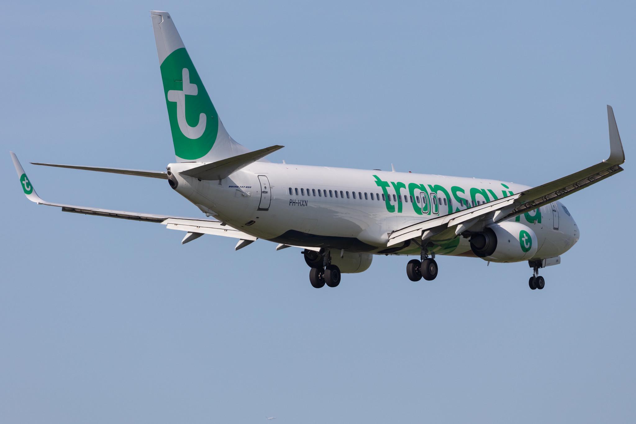 Amsterdam Schiphol: Transavia (HV / TRA) |  Boeing 737-8K2 B738 | PH-HXN | MSN 63623