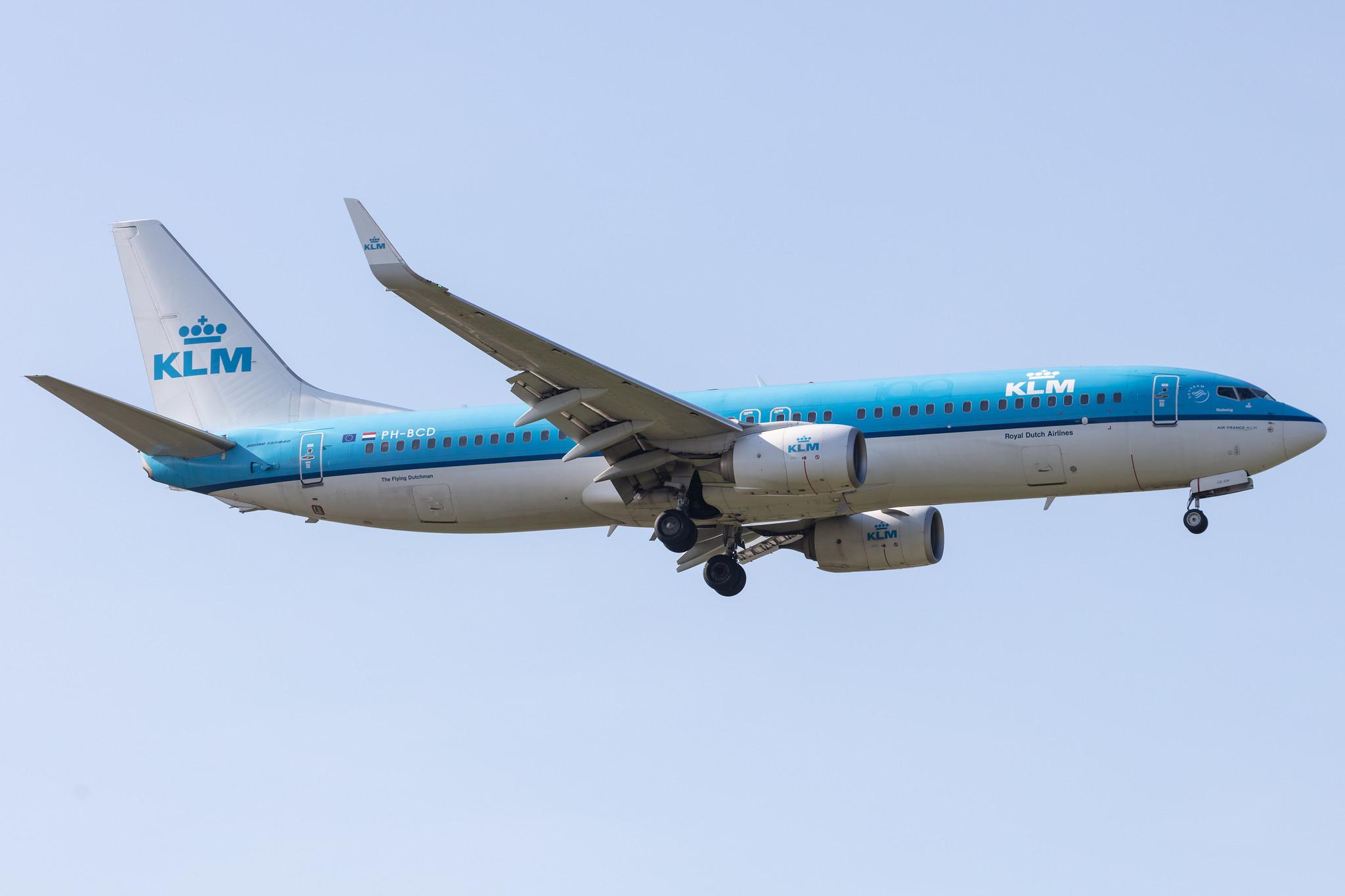 Amsterdam Schiphol: KLM (KL / KLM) |  Boeing 737-8K2 B738 | PH-BCD | MSN 42149