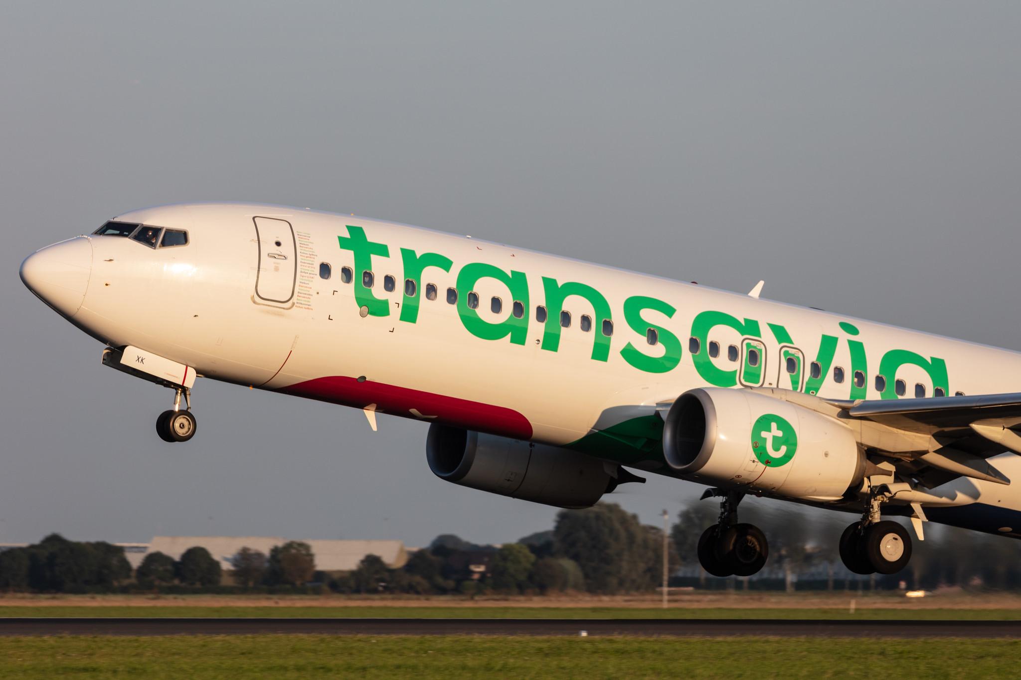 Amsterdam Schiphol: Transavia (HV / TRA) |  Boeing 737-8K2 B738 | PH-HXK | MSN 62157