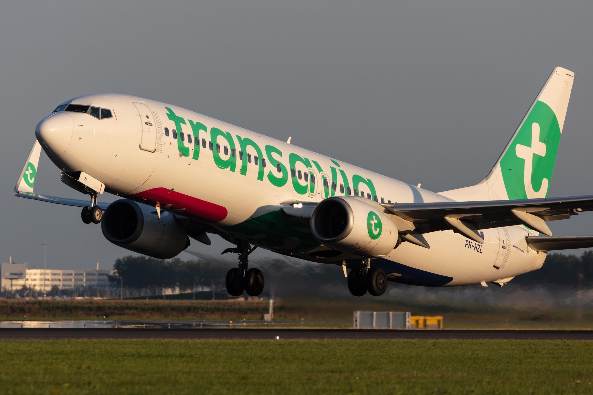 Amsterdam Schiphol: Transavia (HV / TRA) |  Boeing 737-8K2 B738 | PH-HZL | MSN 30391