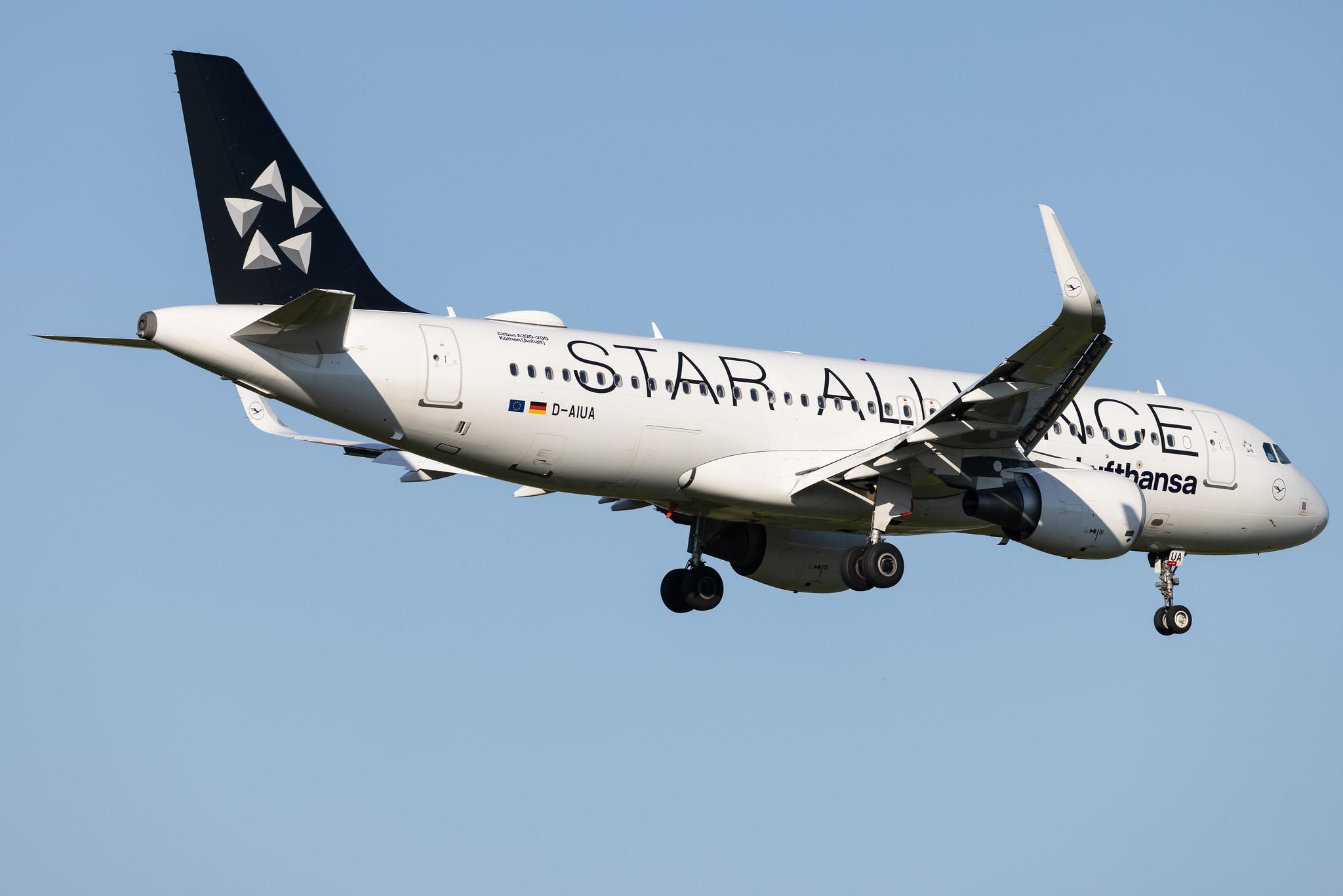 Hamburg Airport: Lufthansa (LH / DLH) | Livery: Star Alliance Livery | Airbus A320-214 A320 | D-AIUA | MSN 5935