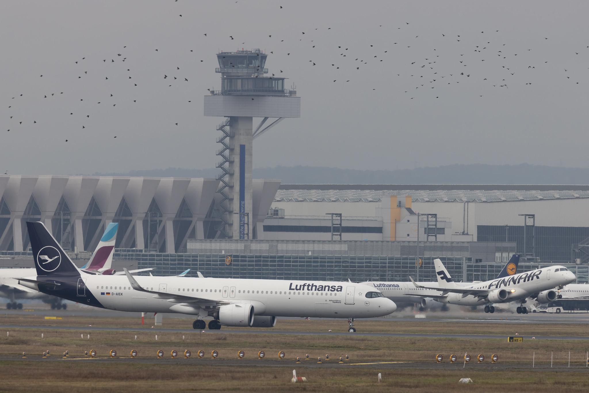 Frankfurt Airport: Lufthansa (LH / DLH) |  Airbus A321-271NX A21N | D-AIEK | MSN 10583