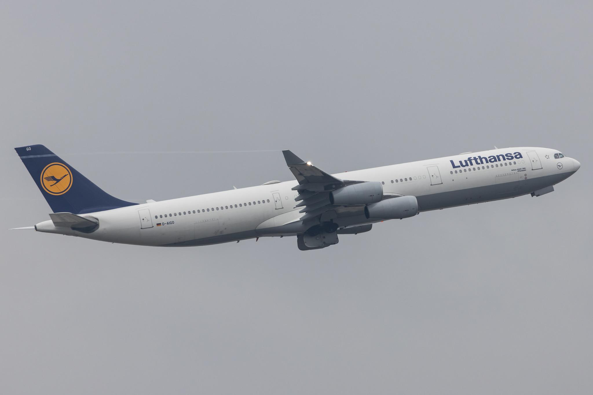 Frankfurt Airport: Lufthansa (LH / DLH) |  Airbus A340-313 A343 | D-AIGO | MSN 0233