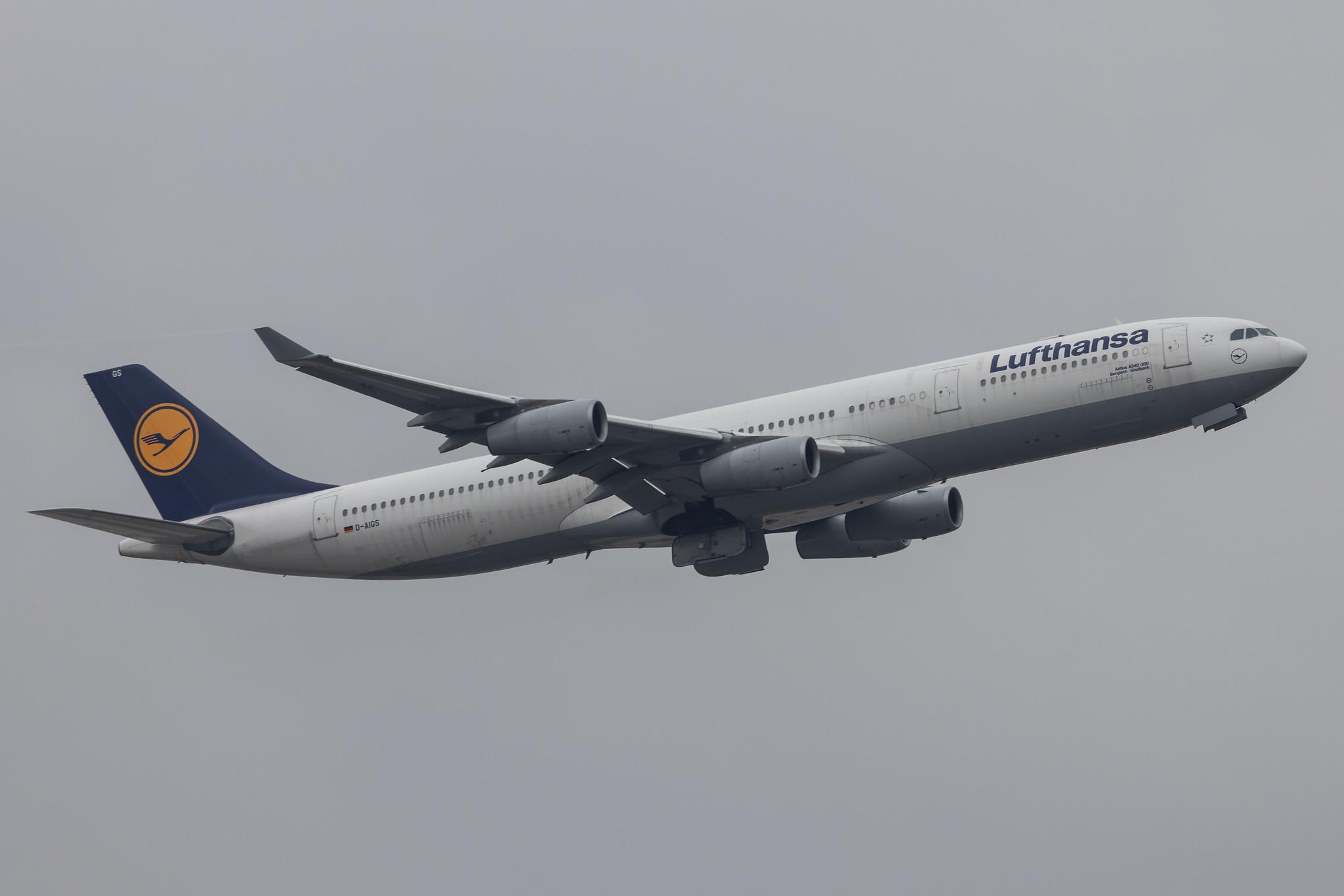 Frankfurt Airport: Lufthansa (LH / DLH) |  Airbus A340-313 A343 | D-AIGS | MSN 0297