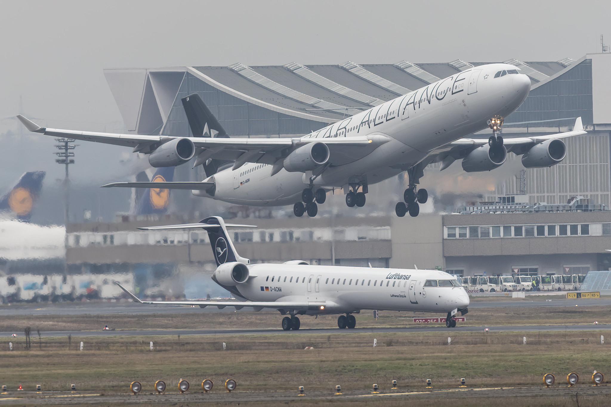 Frankfurt Airport: Lufthansa (LH / DLH) |  Livery: Star Alliance Livery |  Airbus A340-313 A343 | D-AIGW | MSN 0327