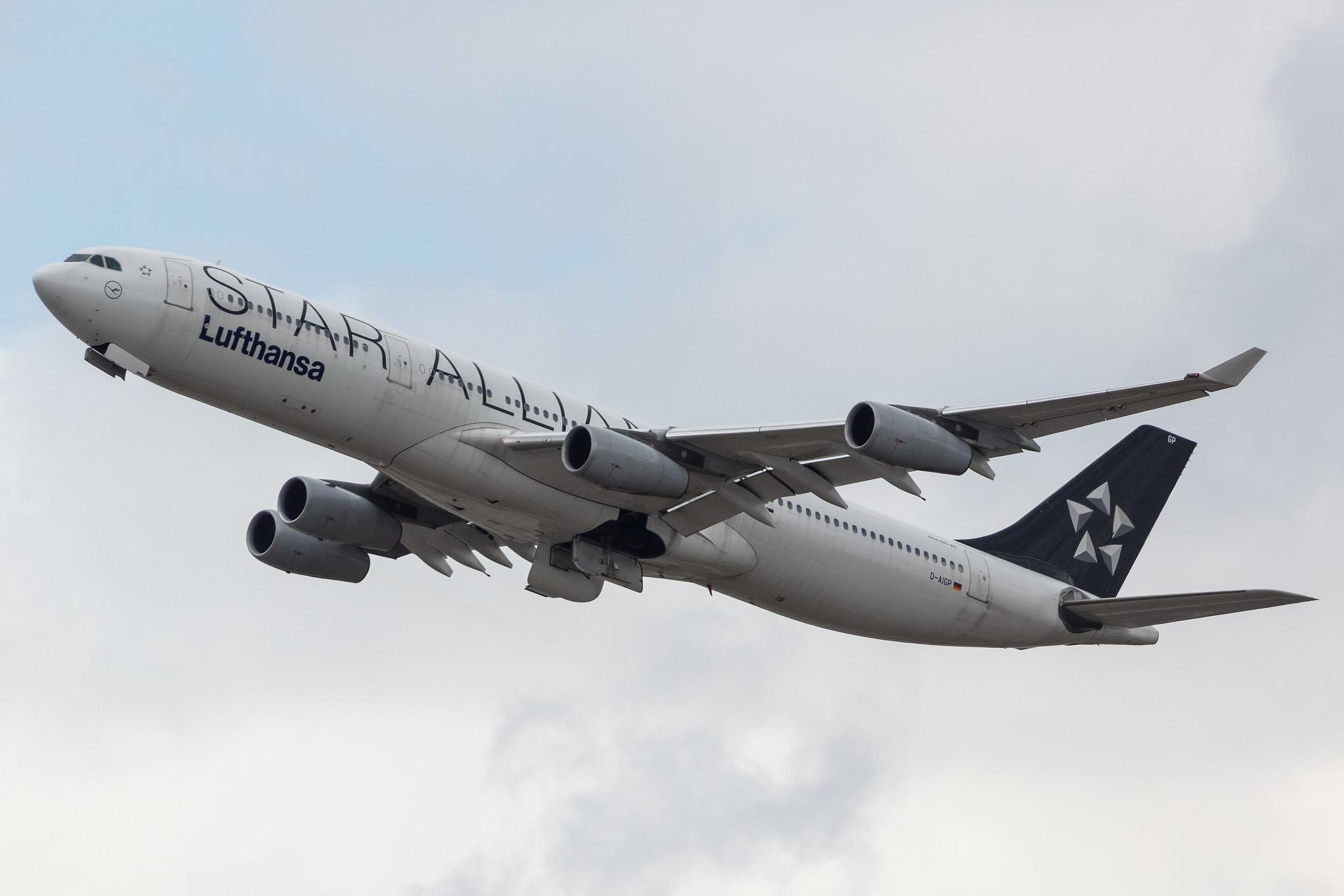 Frankfurt Airport: Lufthansa (LH / DLH) |  Livery: Star Alliance Livery |  Airbus A340-313 A343 | D-AIGP | MSN 0252