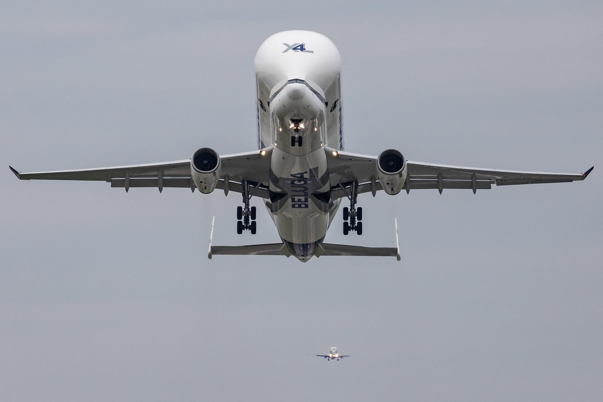 Hamburg Finkenwerder: Airbus Transport International (4Y / BGA) | Airbus A330-743L Beluga XL A337 | F-GXLJ | MSN 1985
