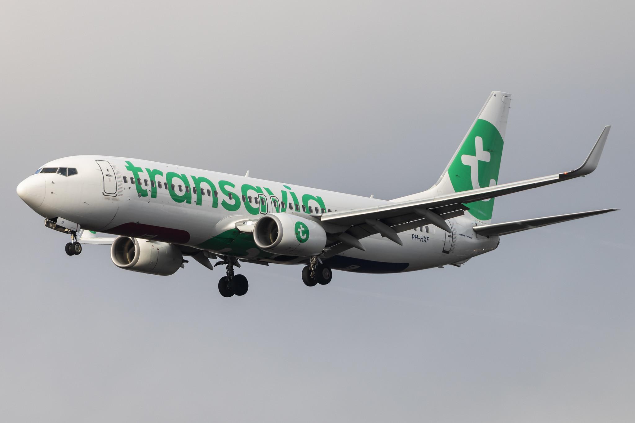 Amsterdam Schiphol: Transavia (HV / TRA) | Boeing 737-8K2 B738 | PH-HXF | MSN 62153