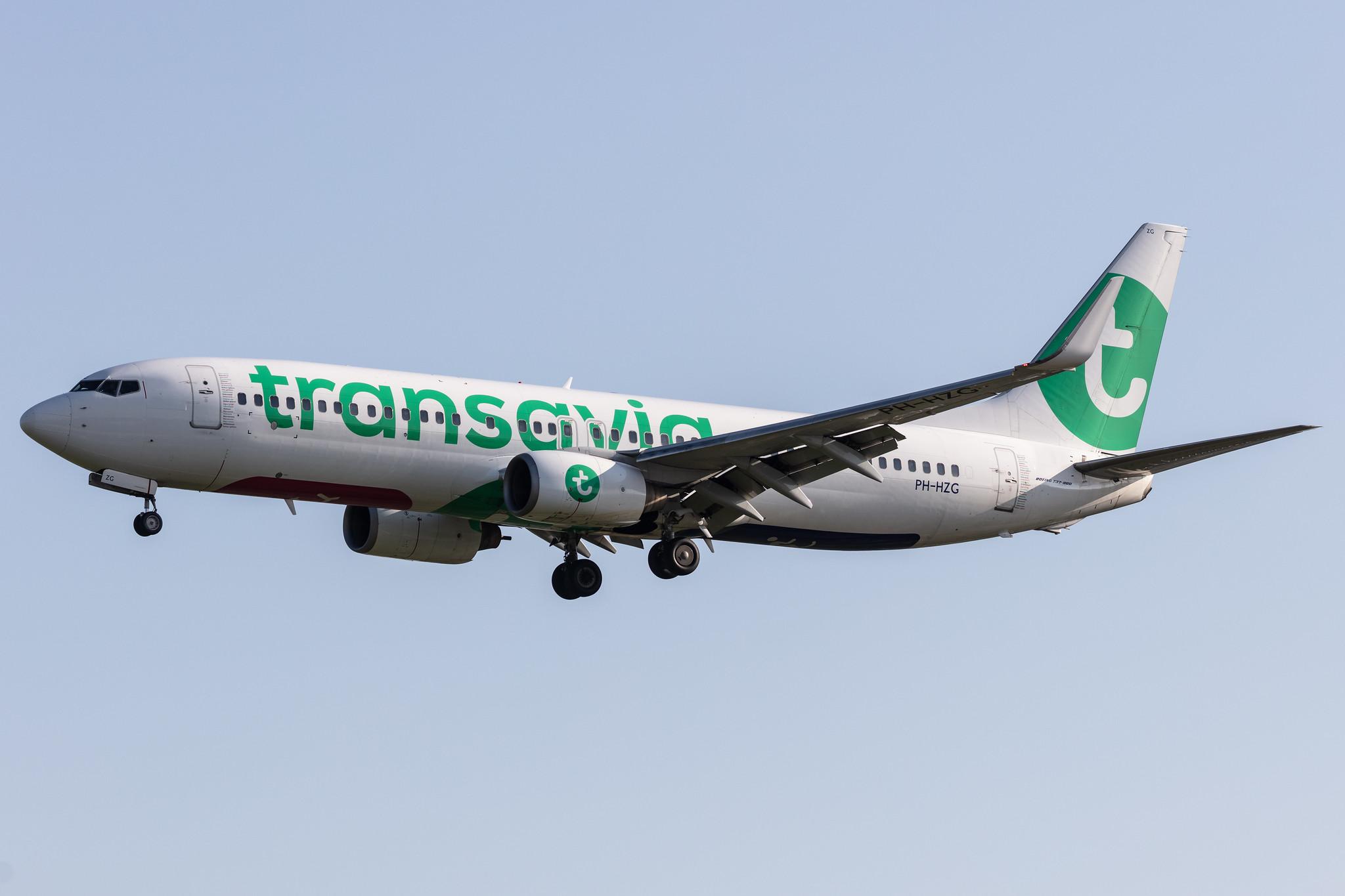Amsterdam Schiphol: Transavia (HV / TRA) |  Boeing 737-8K2 B738 | PH-HZG | MSN 28379