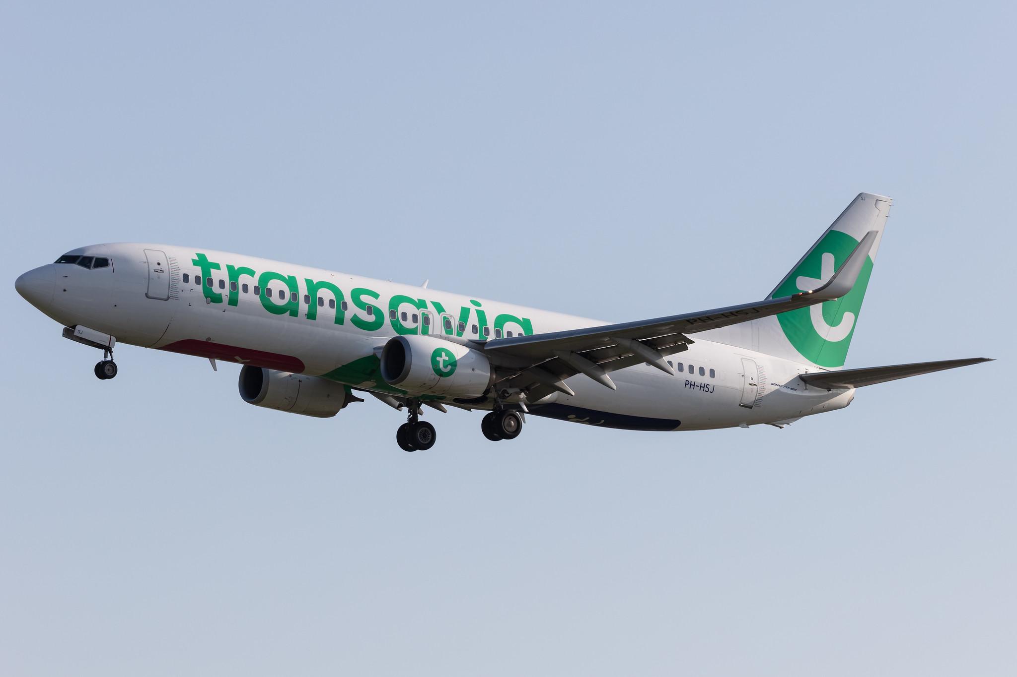 Amsterdam Schiphol: Transavia (HV / TRA) |  Boeing 737-8K2 B738 | PH-HSJ | MSN 42150