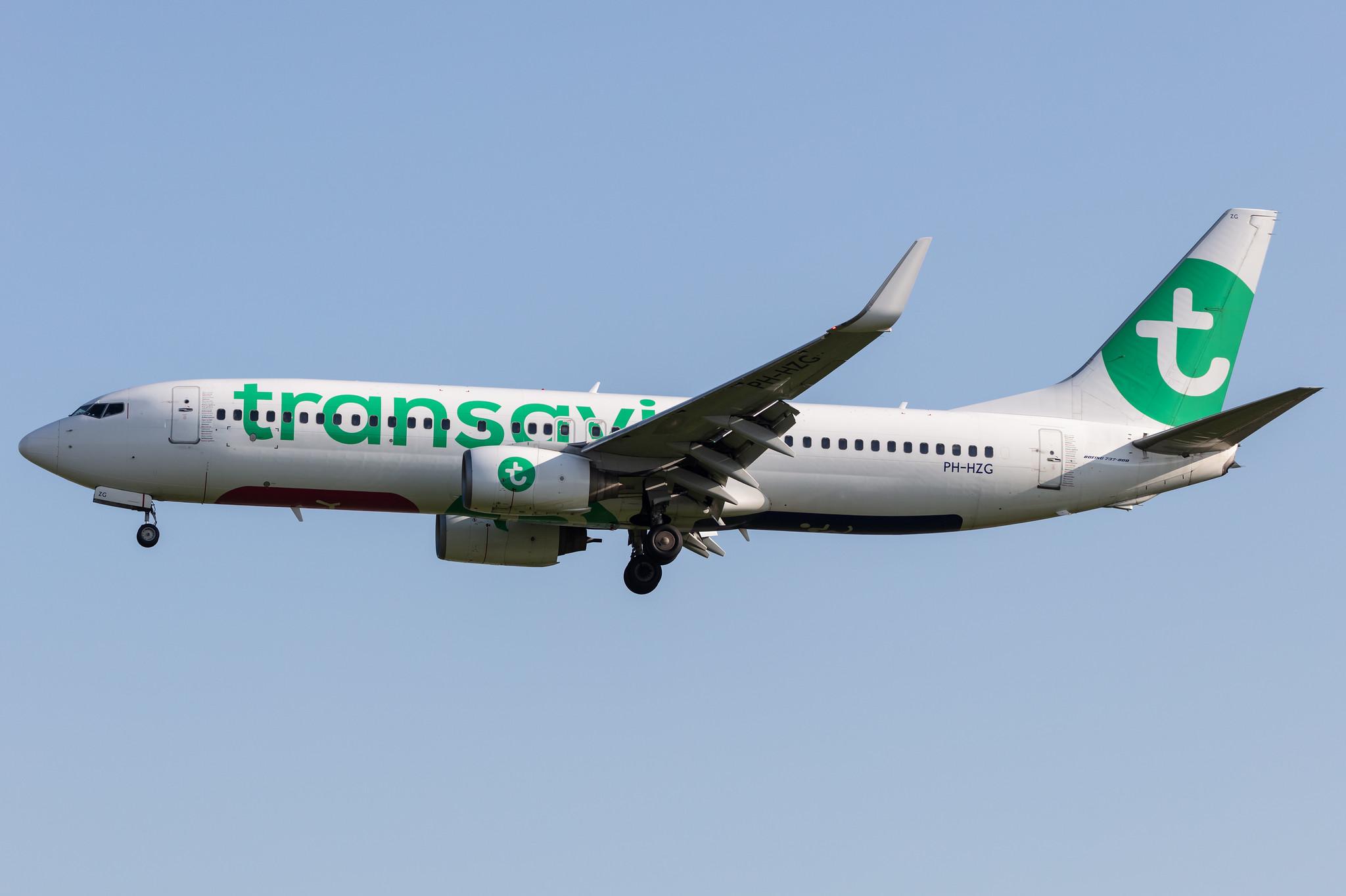 Amsterdam Schiphol: Transavia (HV / TRA) |  Boeing 737-8K2 B738 | PH-HZG | MSN 28379