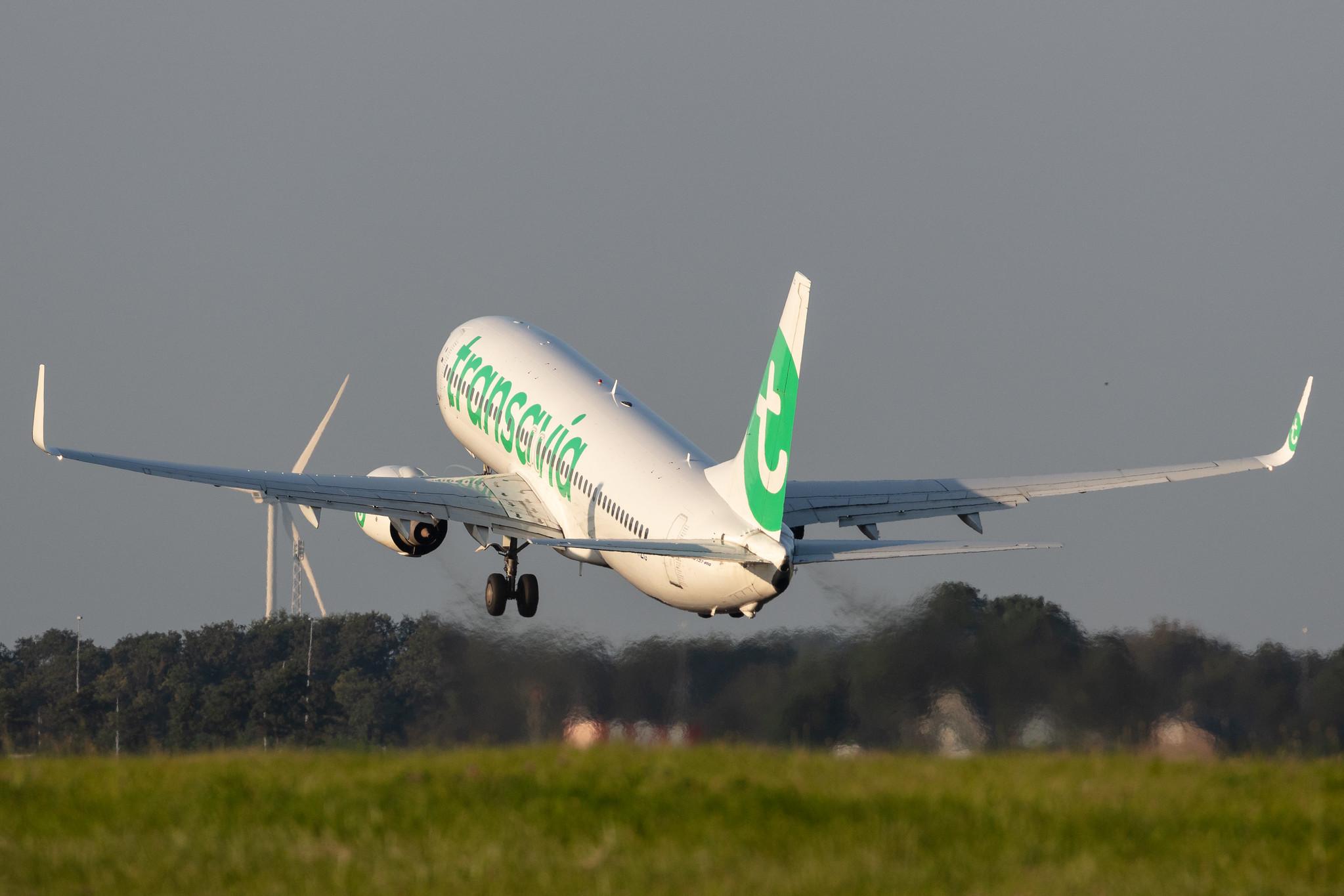 Amsterdam Schiphol: Transavia (HV / TRA) |  Boeing 737-8K2 B738 | PH-HZG | MSN 28379
