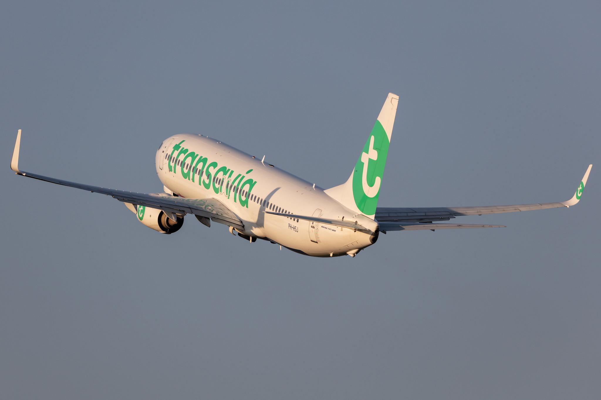 Amsterdam Schiphol: Transavia (HV / TRA) |  Boeing 737-8K2 B738 | PH-HSJ | MSN 42150