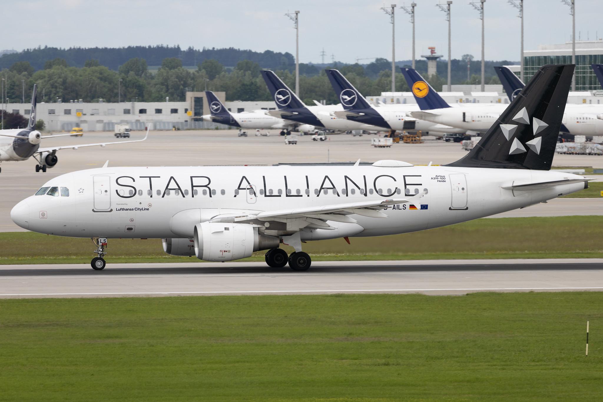Munich Airport: Lufthansa (LH / DLH) | Livery: Star Alliance Livery | Operator: Lufthansa CityLine | Airbus A319-114 A319 | D-AILS | MSN 0729